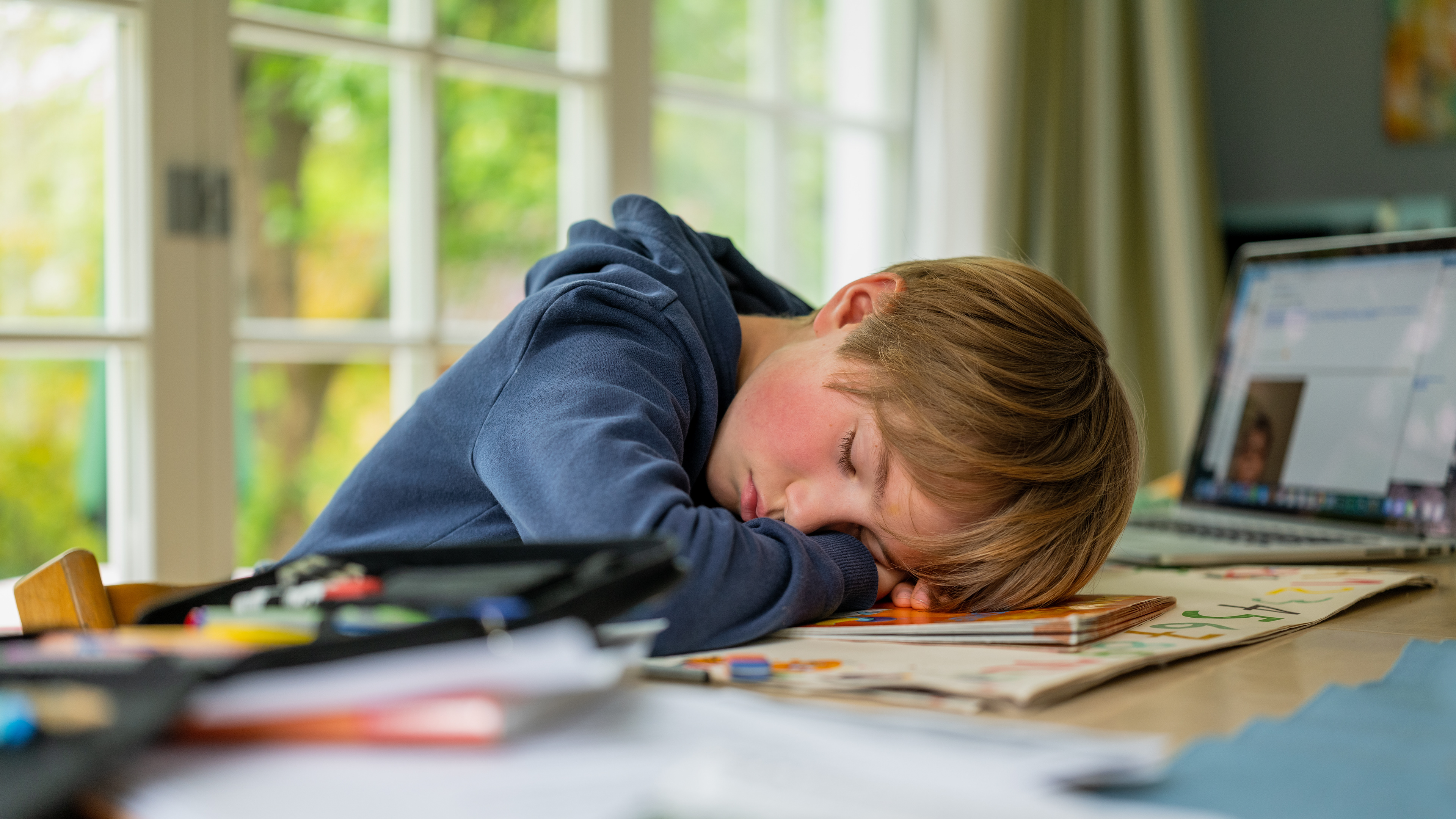 Homeschooling, 2020