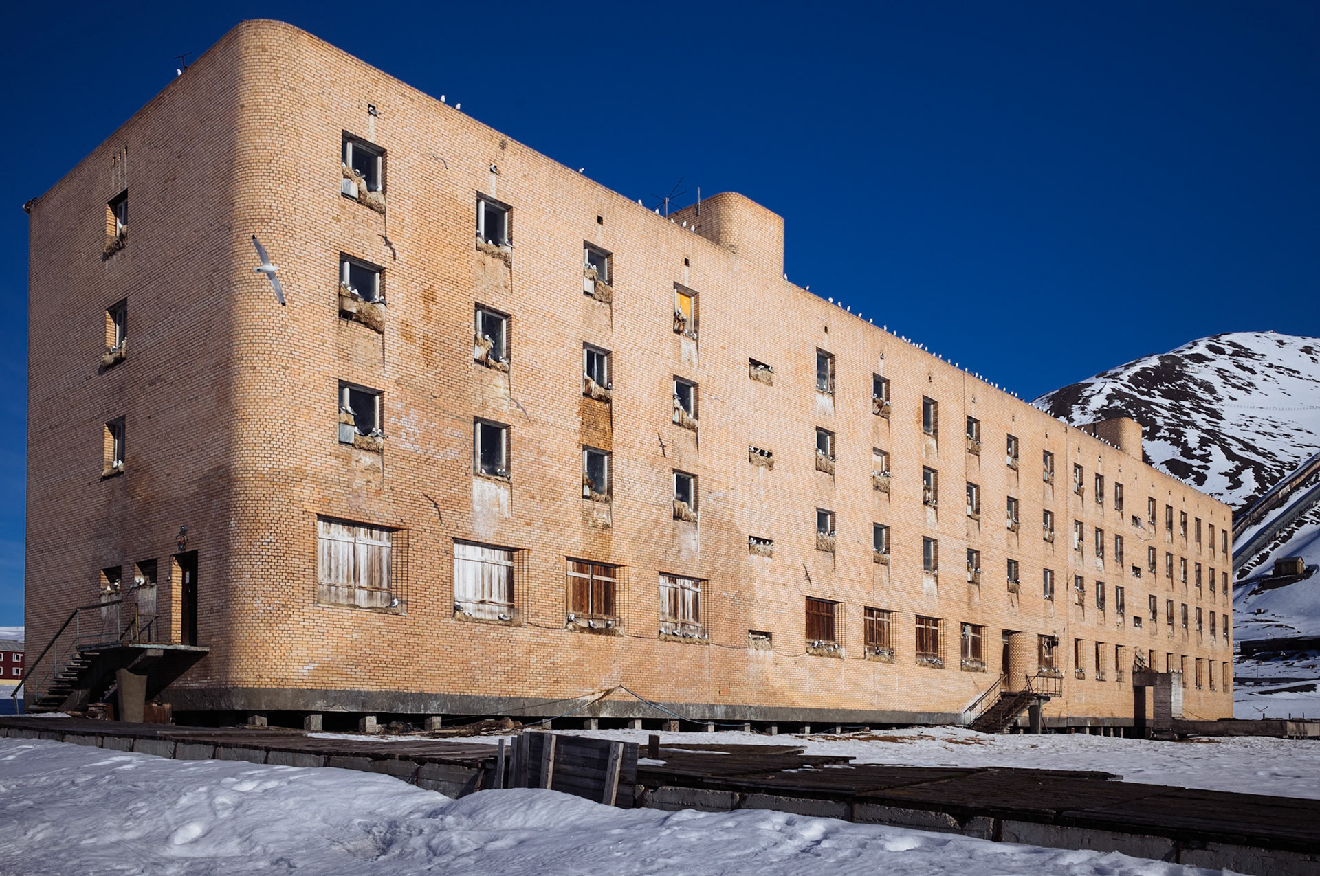 Ein verlassenes Gebäude mit Backsteinfassade in Pyramiden, das von Dreizehenmöwen umkreist wird. Es symbolisiert die verlassene Geschichte der Siedlung.