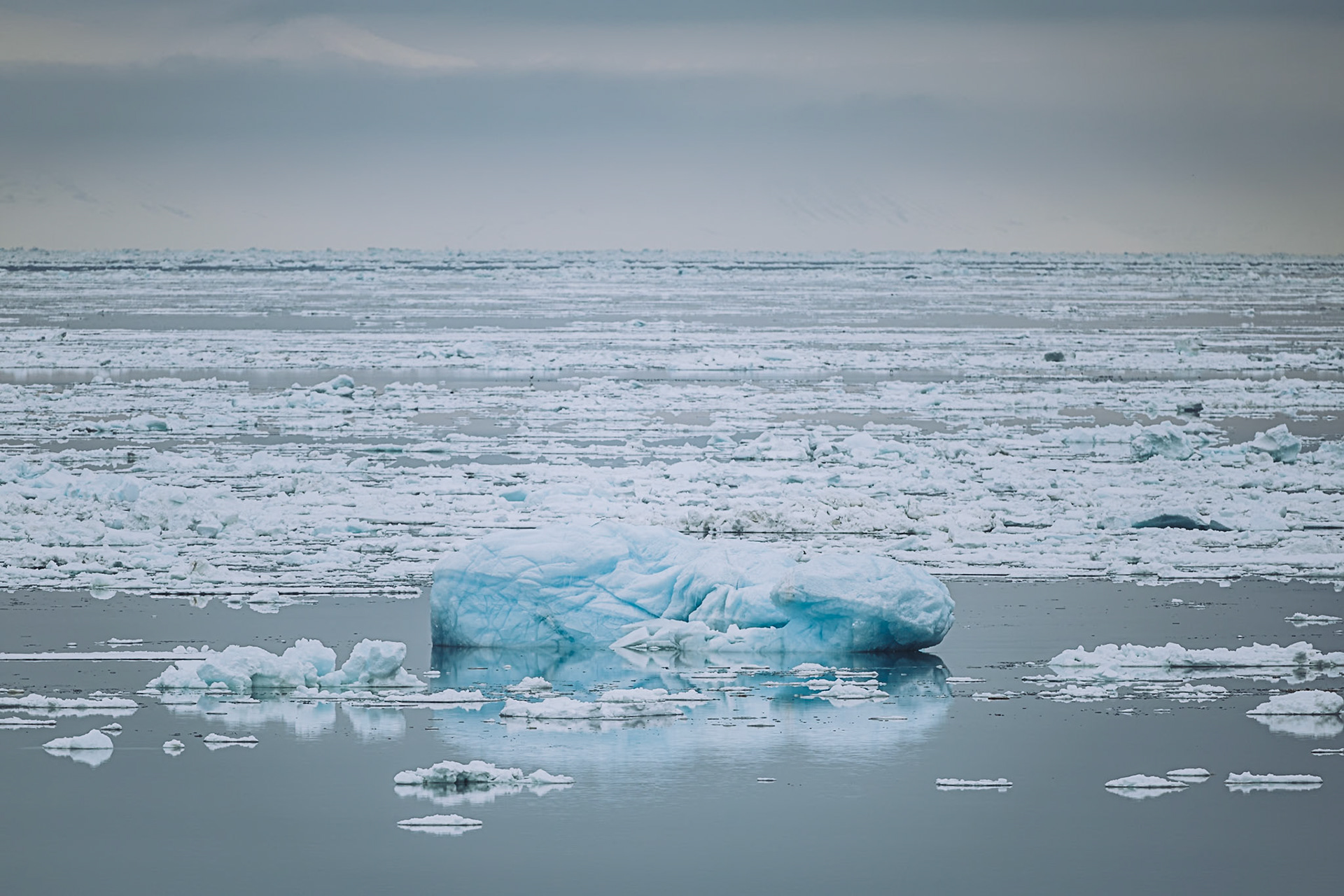 Eine eisige Meereslandschaft mit schwebenden Eisbergen, die das fragile Ökosystem der Arktis verdeutlichen. Das ruhige Wasser spiegelt die eisige Umgebung wider.