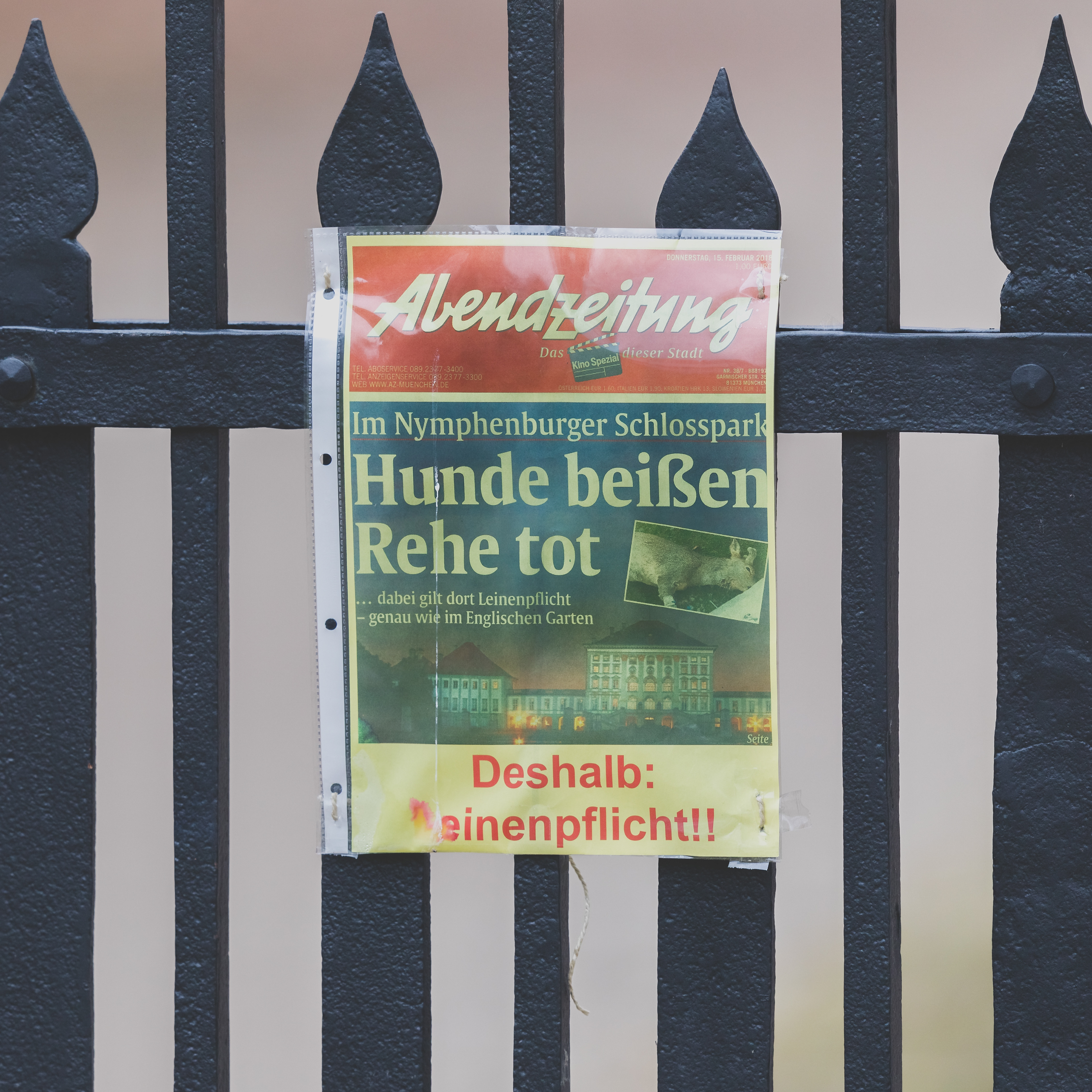 Zur gleichen Zeit wurden mehrfach Hunde ohne Leine gesichtet.