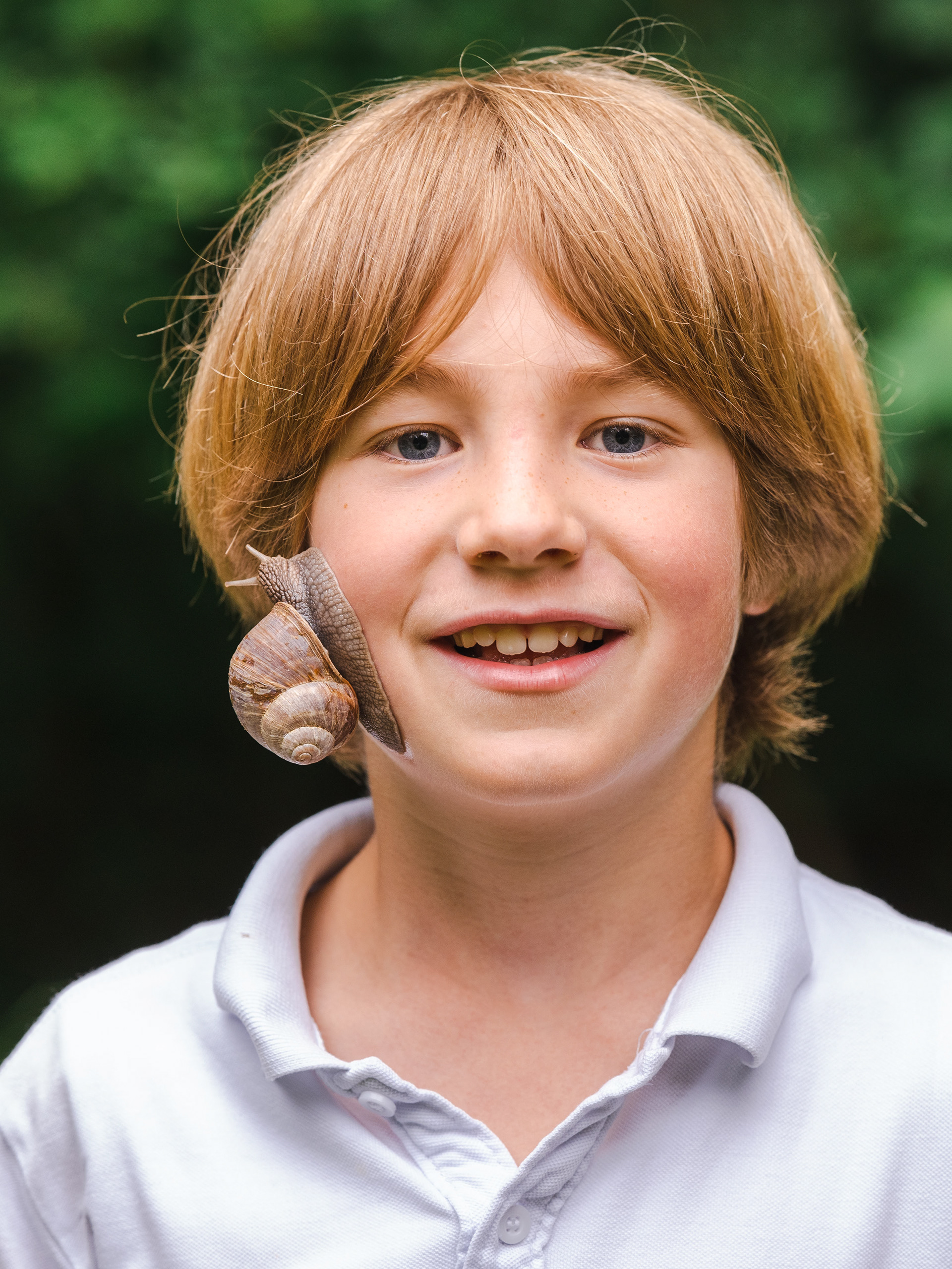 Weinbergschnecke, 2021