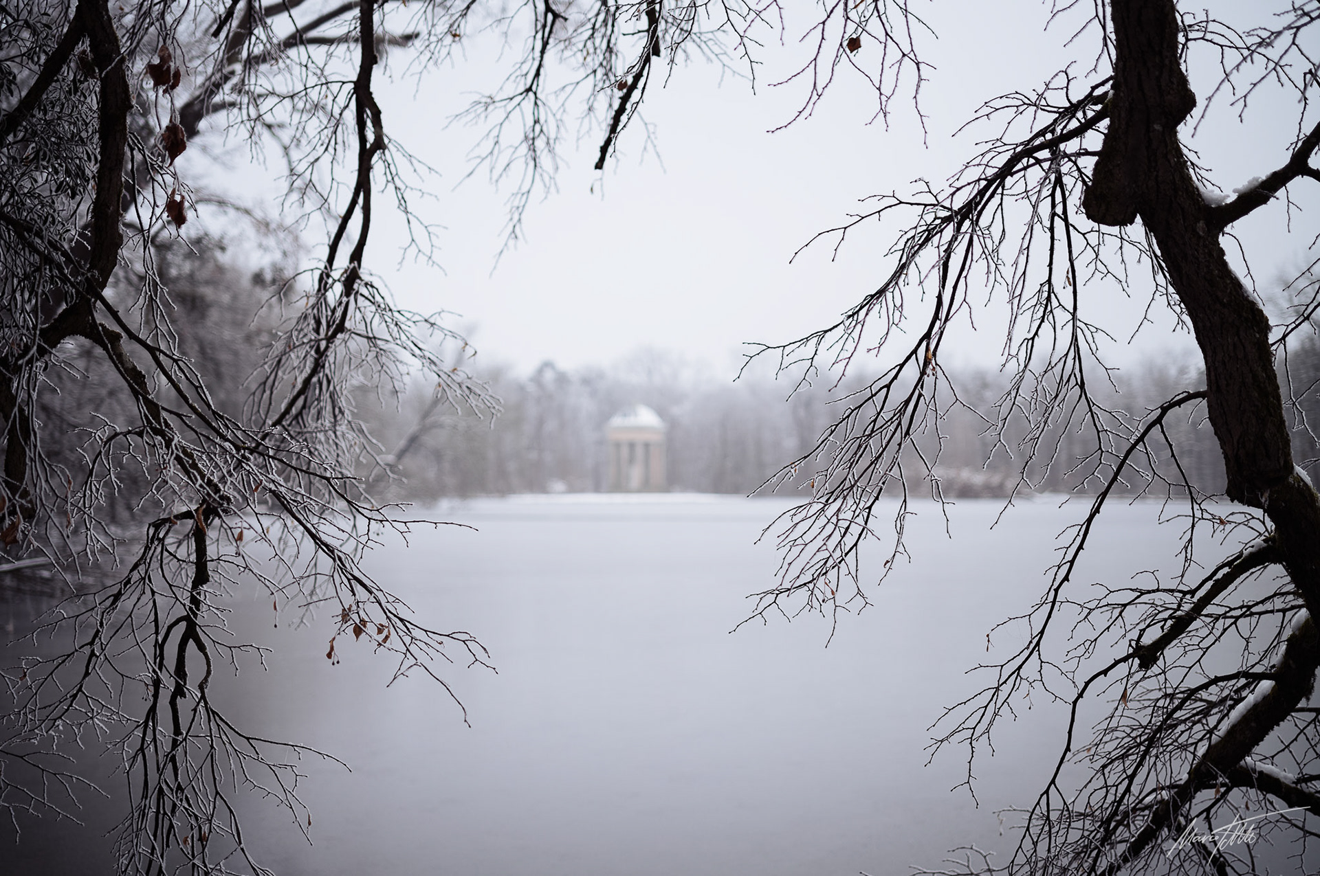 Der Monopteros im Nymphenburger Schlosspark - Leica M11P