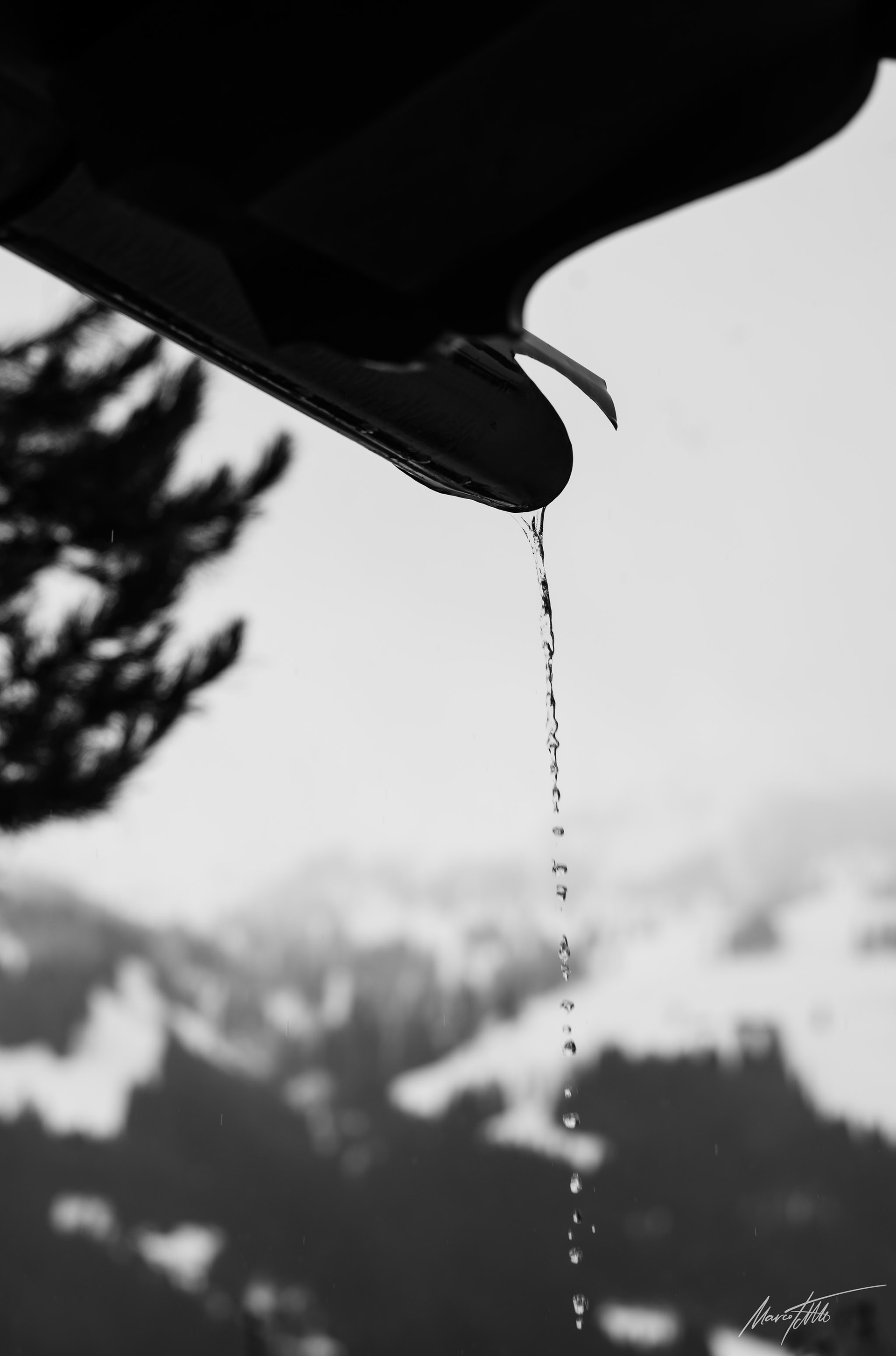 Tauwetter in den Bergen Tirols - Kamera Leica M10M