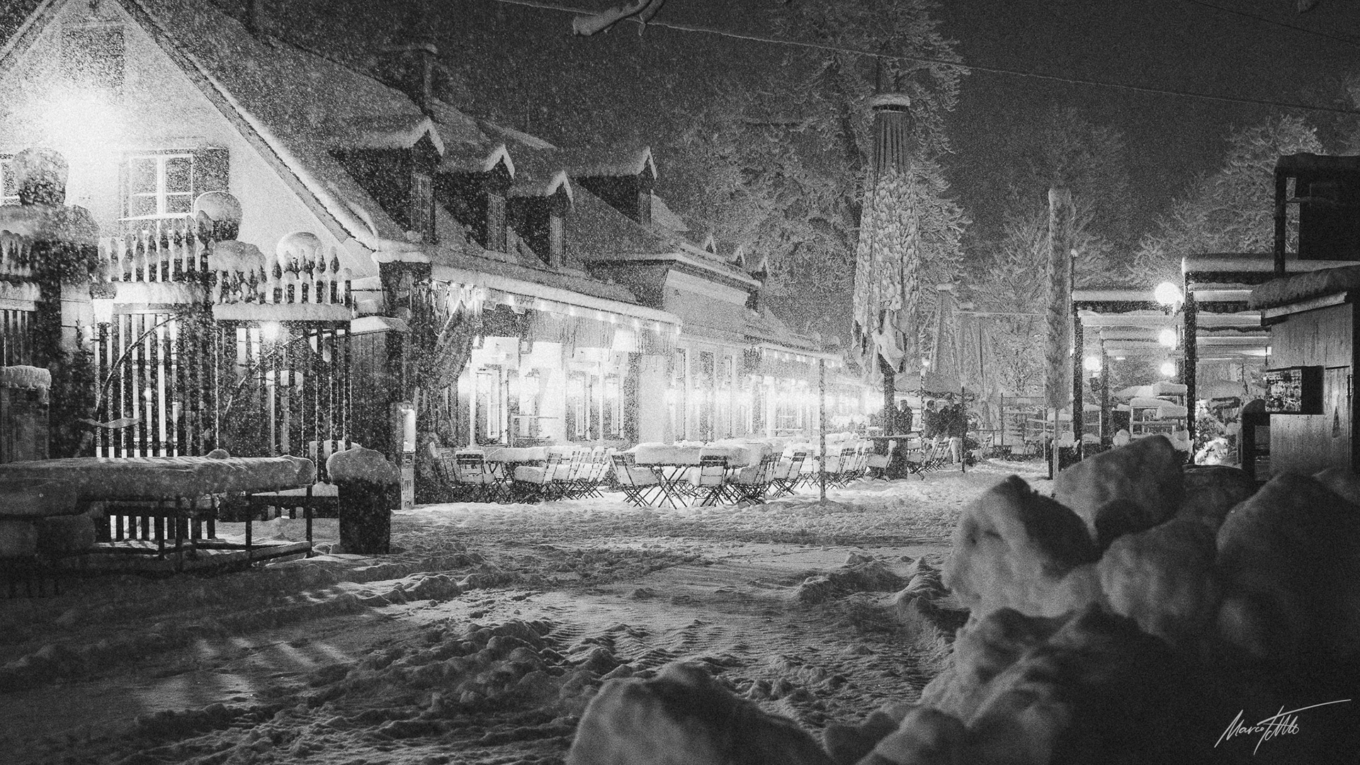 Der große Schnee kommt - Hirschgarten in München am 1. Dezember 2023 - Kamera PIXII A2572+