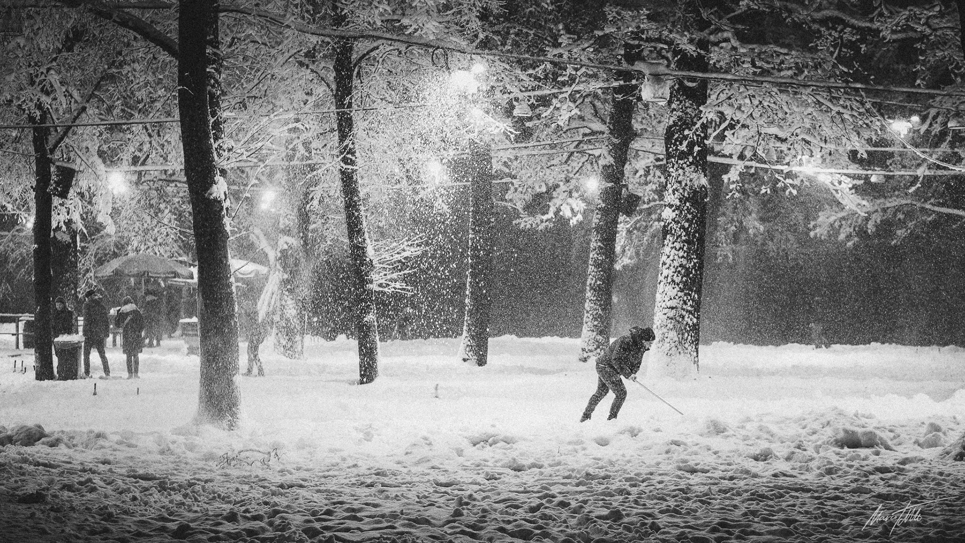 Der große Schnee kommt - Hirschgarten in München am 1. Dezember 2023 - Kamera PIXII A2572+