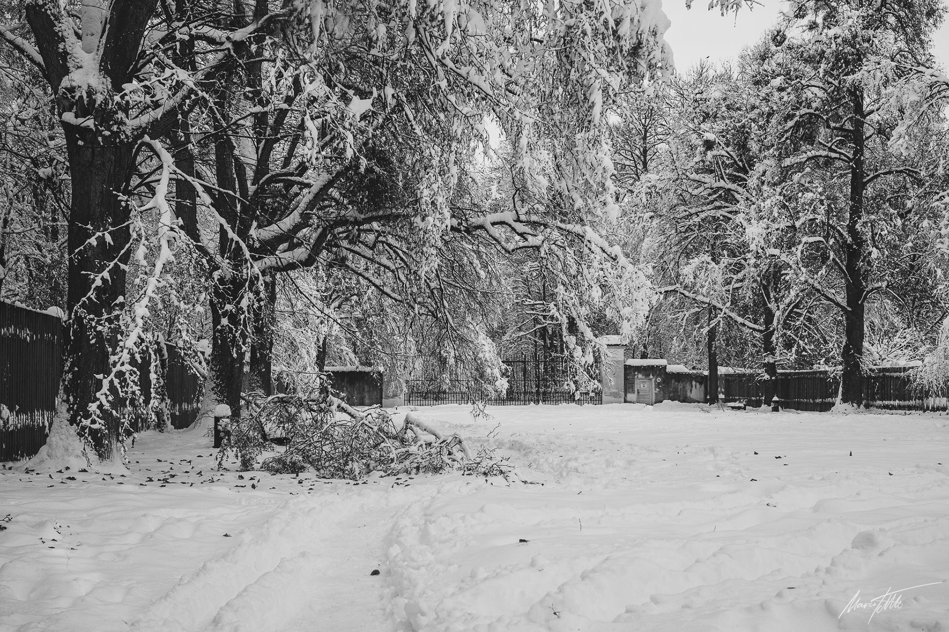 Schneebruch am gesperrten Schlosspark