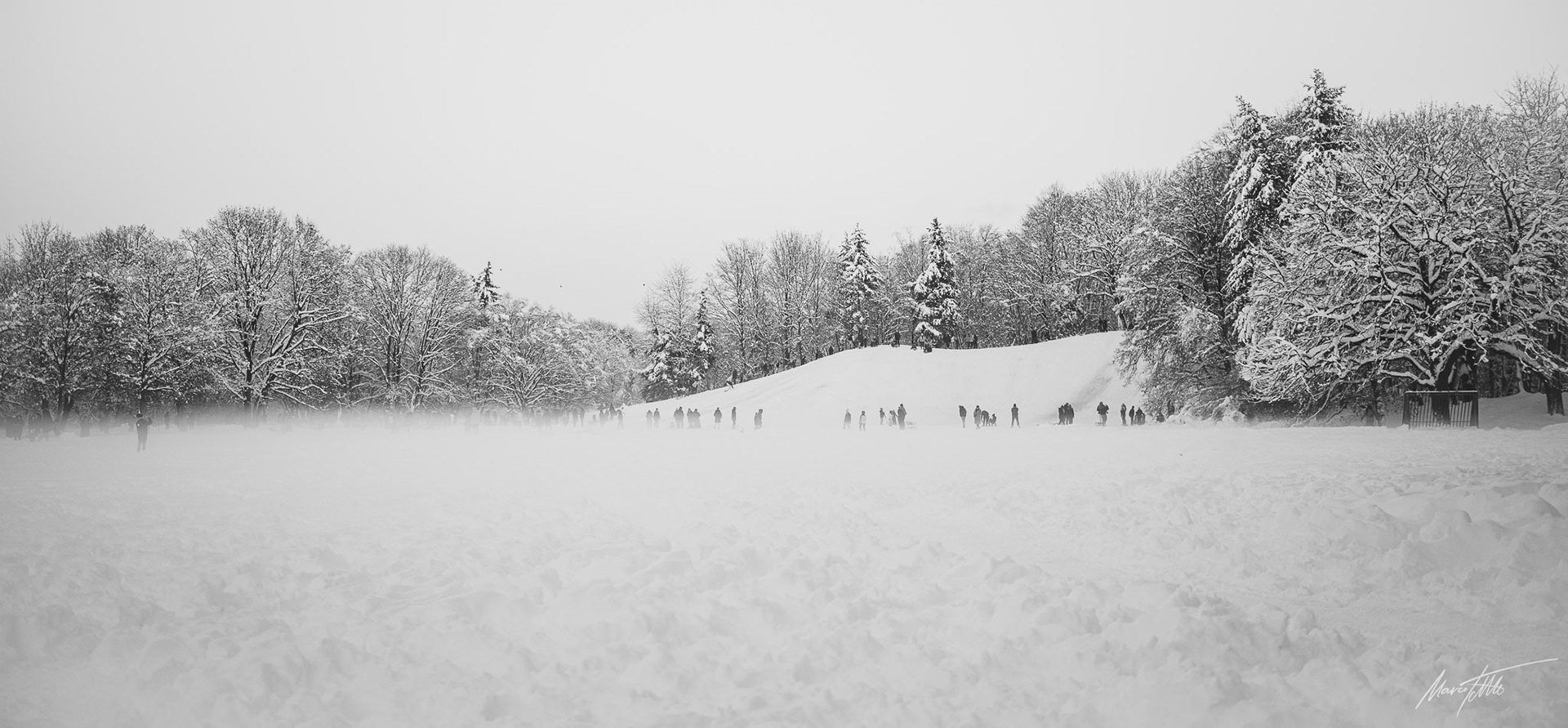 Rodeln im Hirschgarten - Kamera Leica M10M