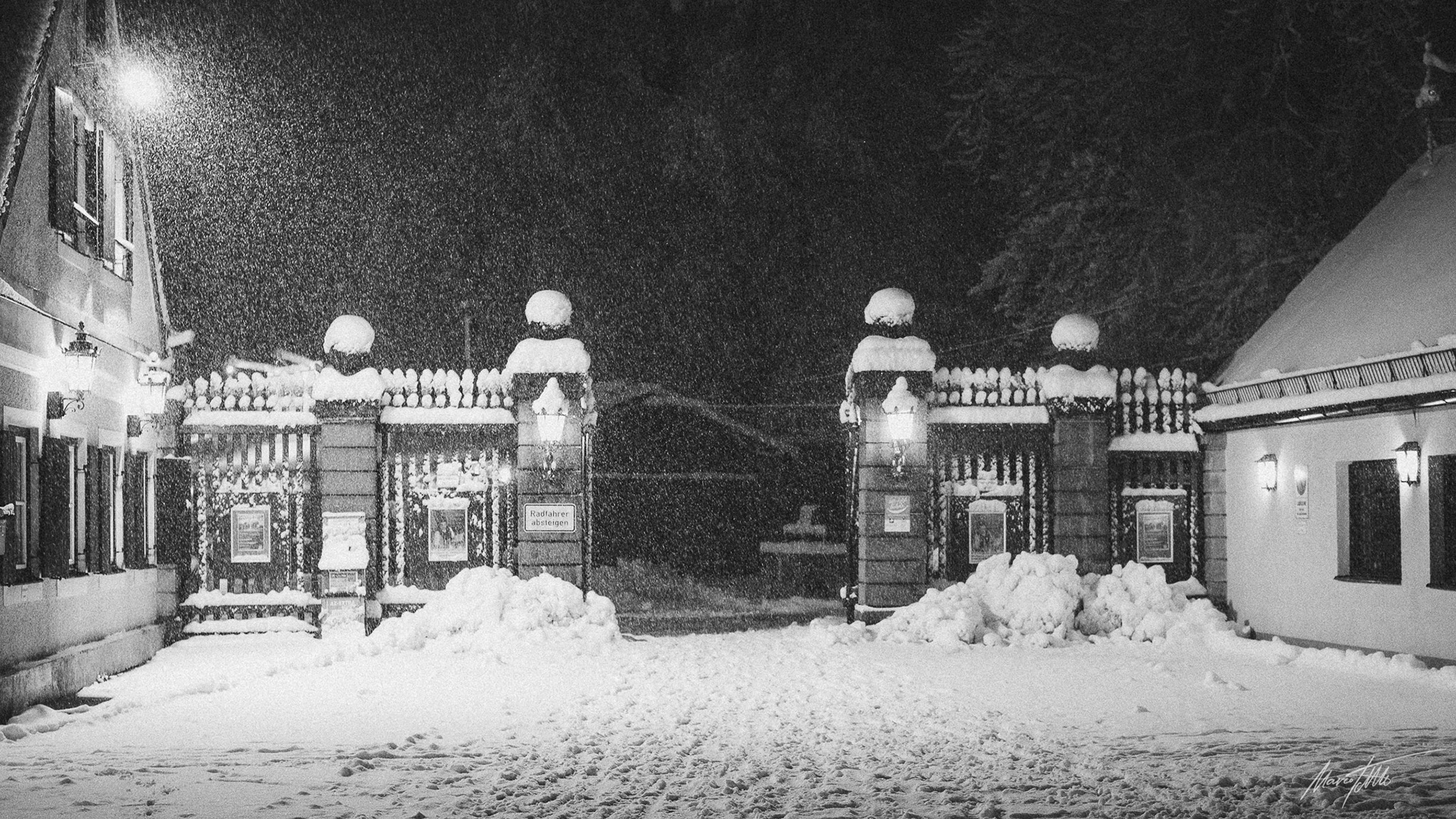 Der große Schnee kommt - Hirschgarten in München am 1. Dezember 2023 - Kamera PIXII A2572+