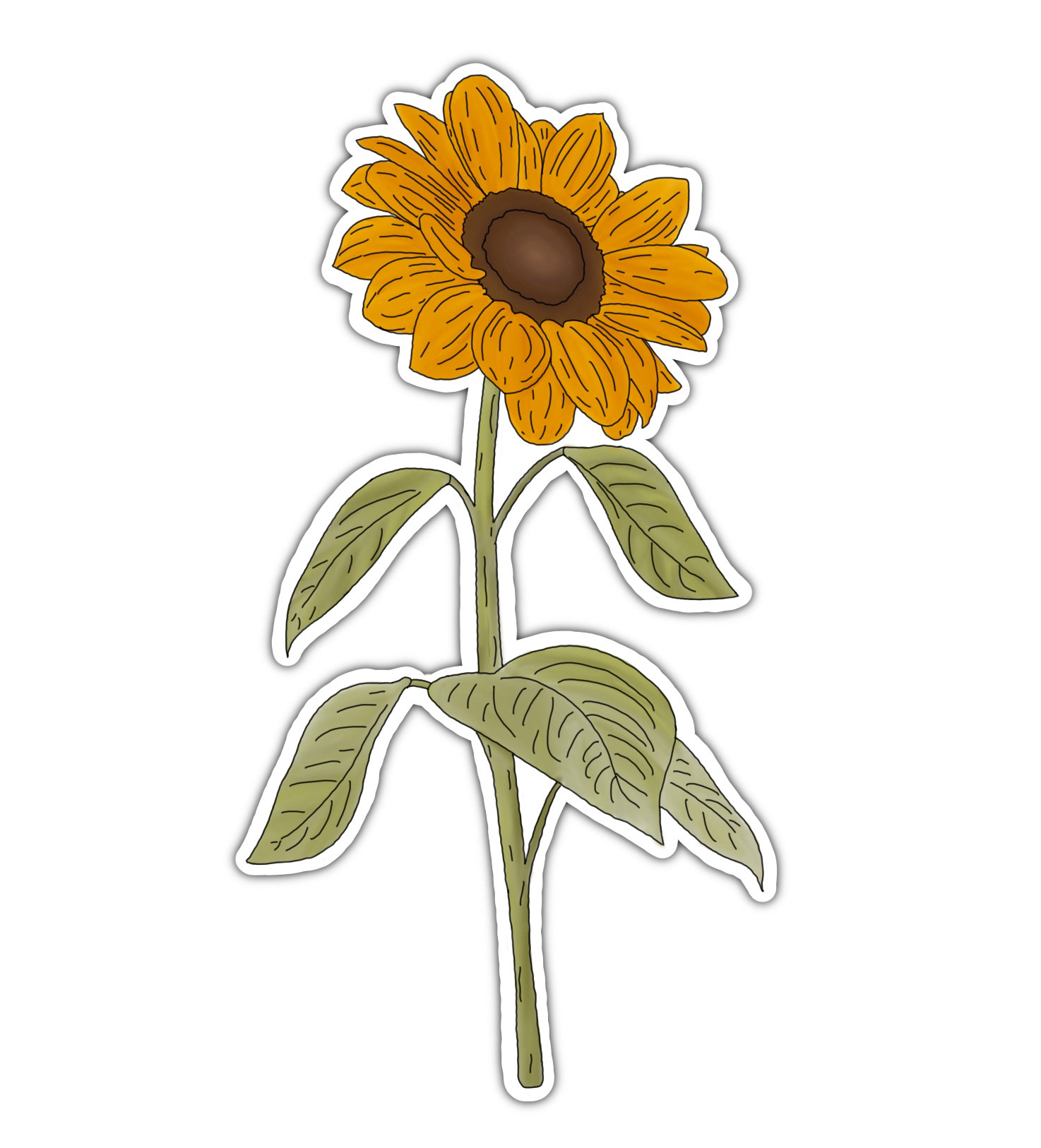 Sunflower