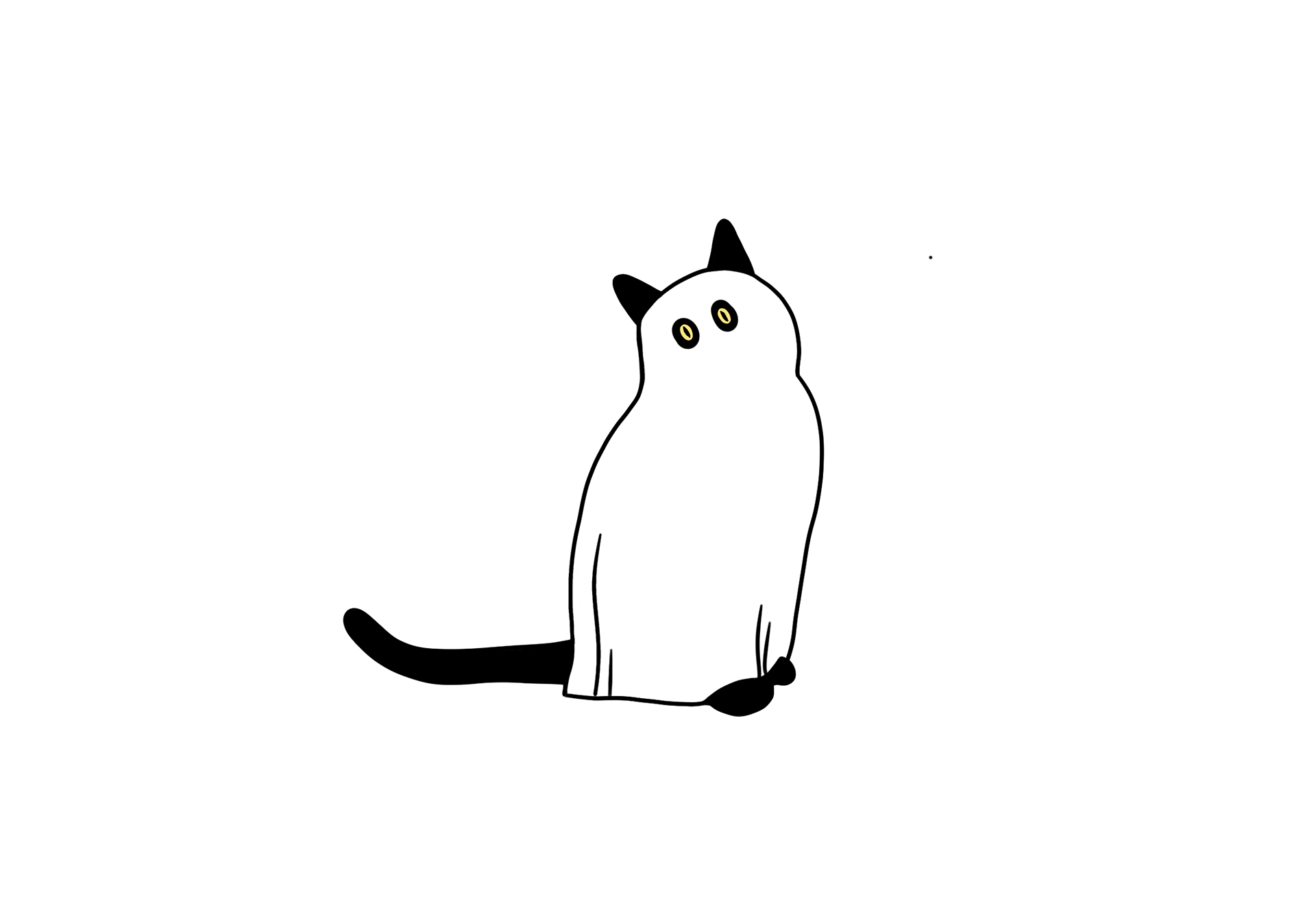 Ghost Cat