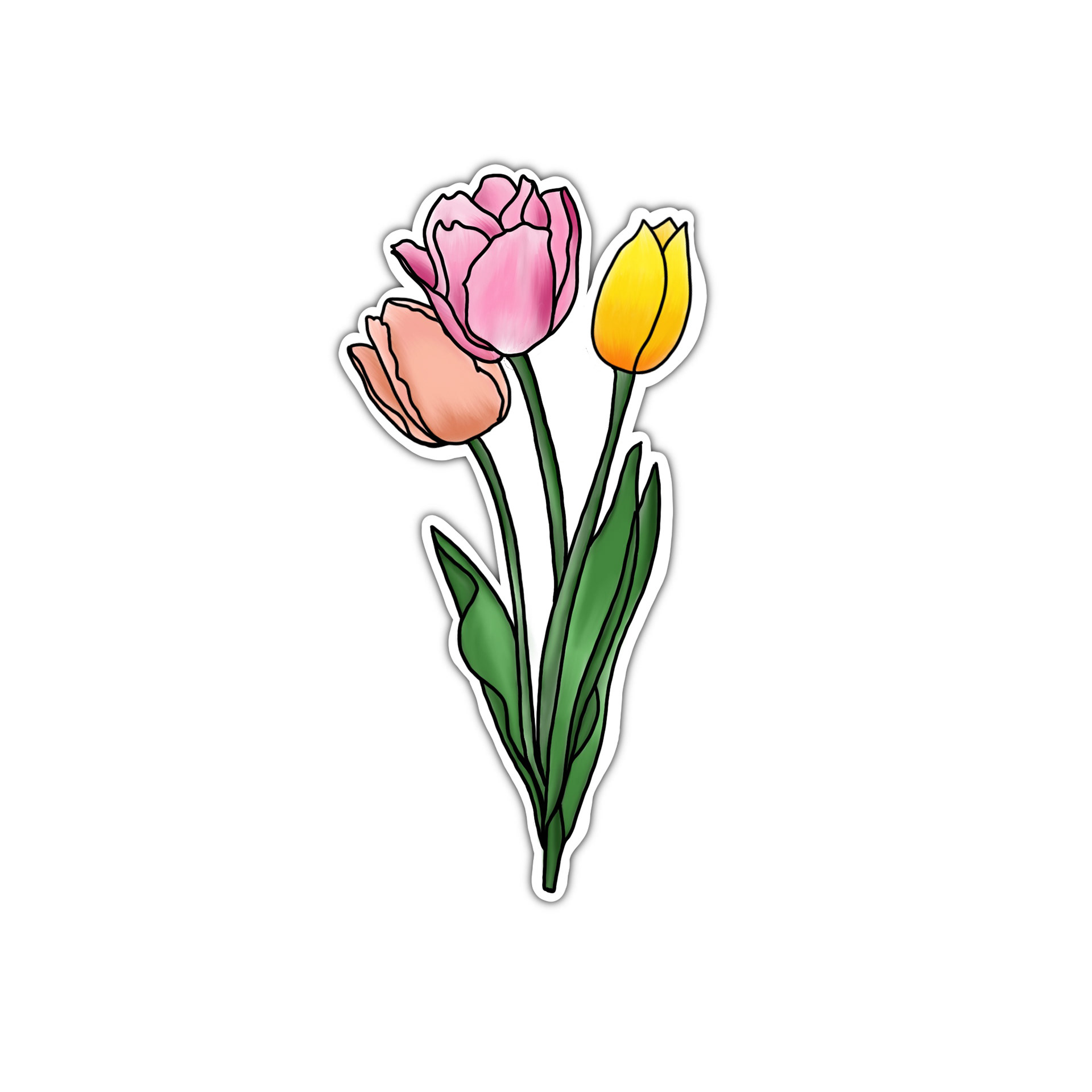 Tulips