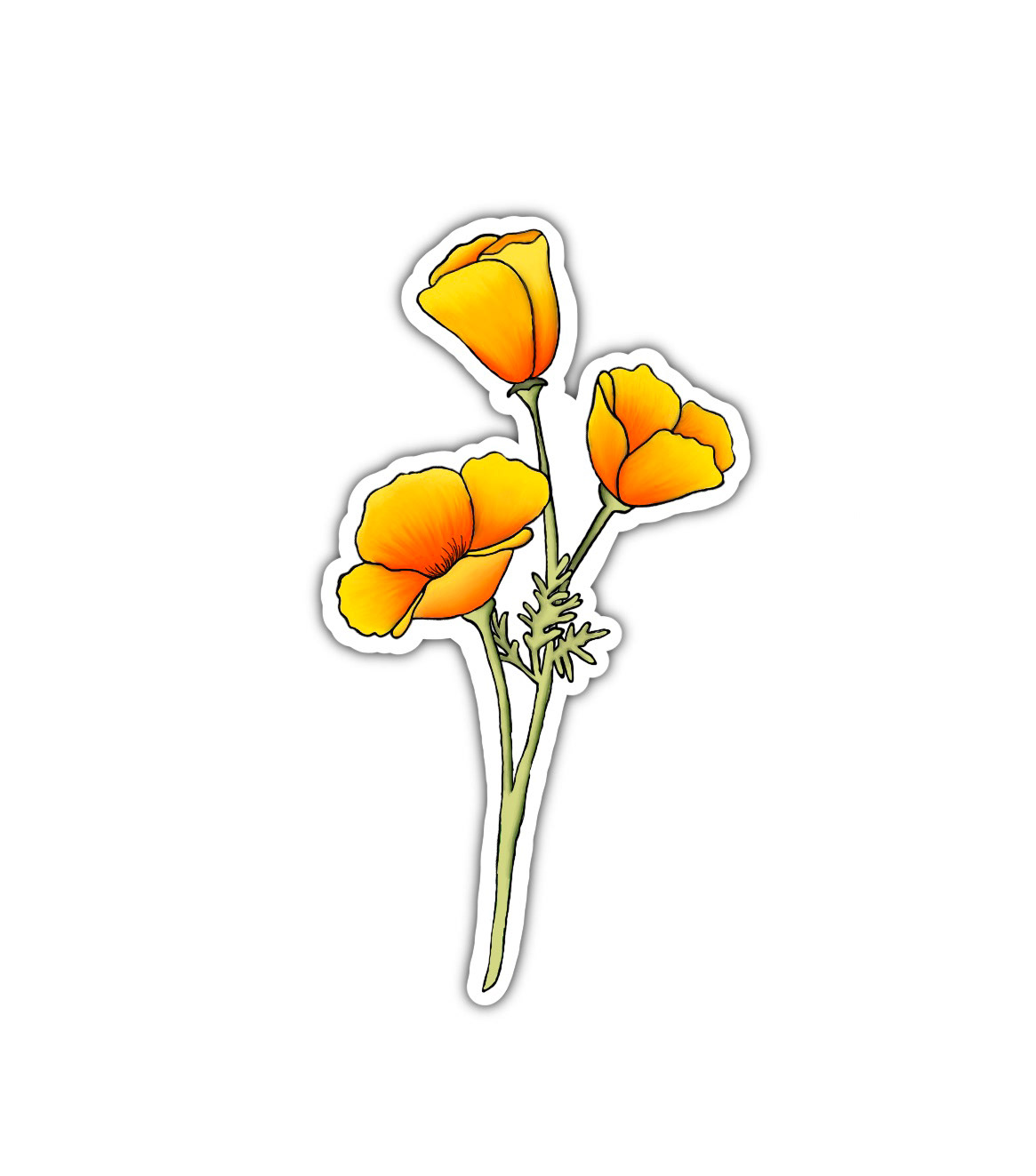 California Poppies