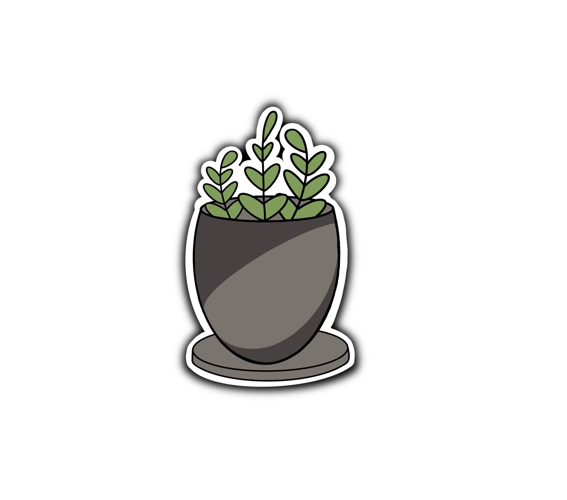 Potted Succulent