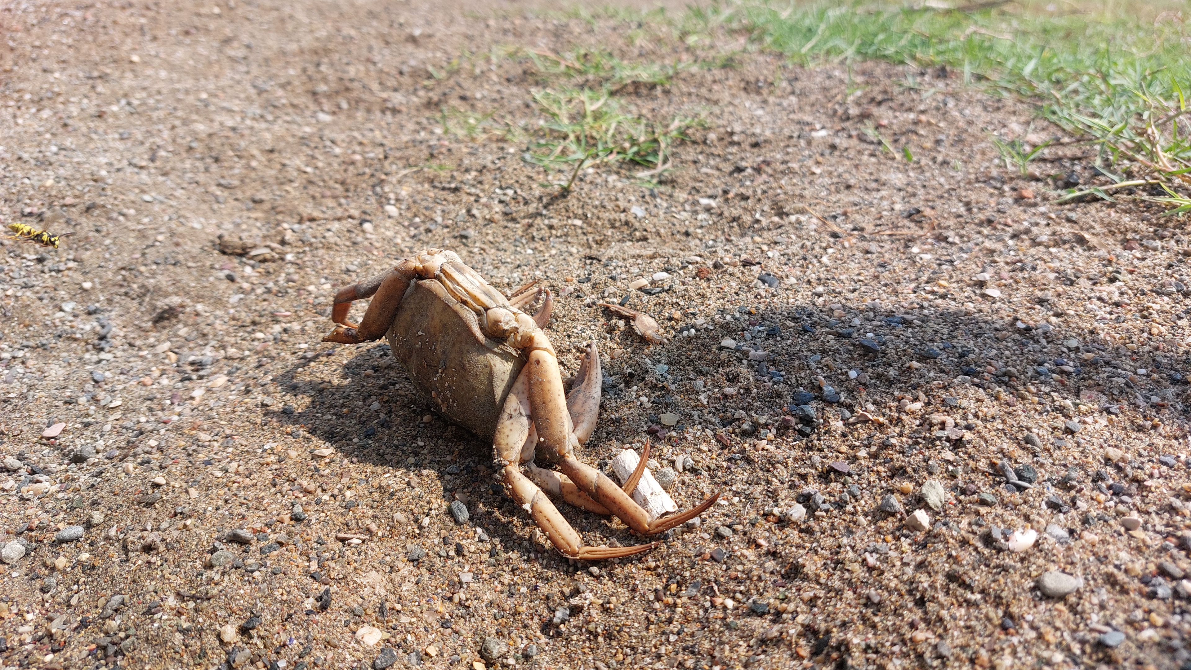 Wastes Still Polluting the Bay in Izmit
