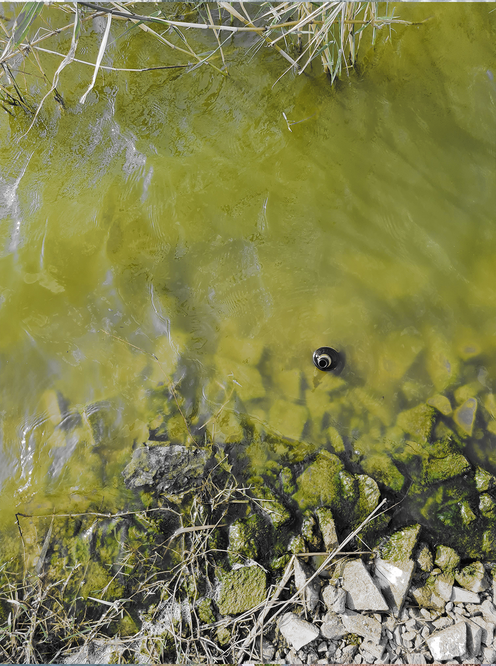 There Is Still Agricultural and Tourism Wastes in Kuş Lake