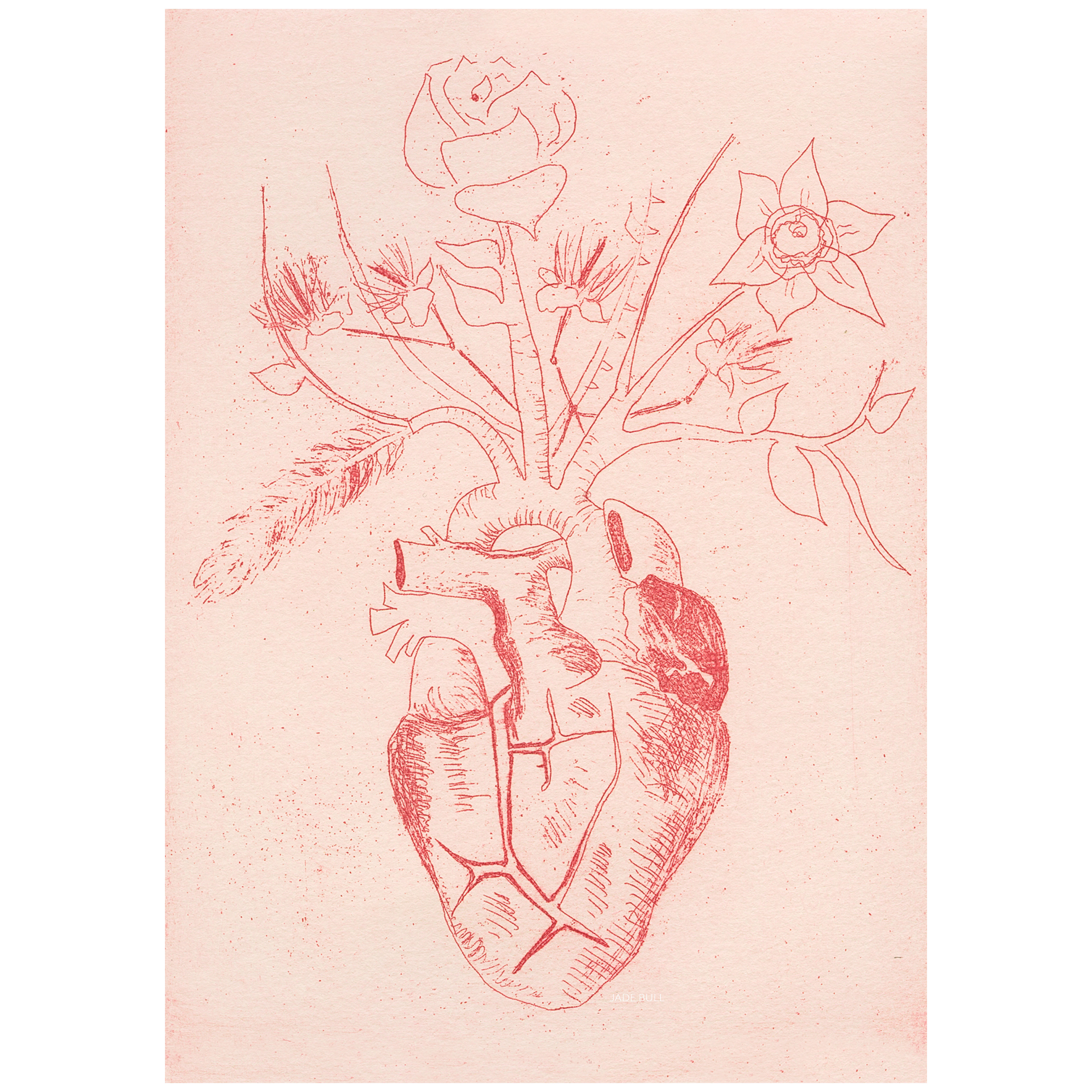 Christchurch Heart, 2018, Print on textured paper. SOLD