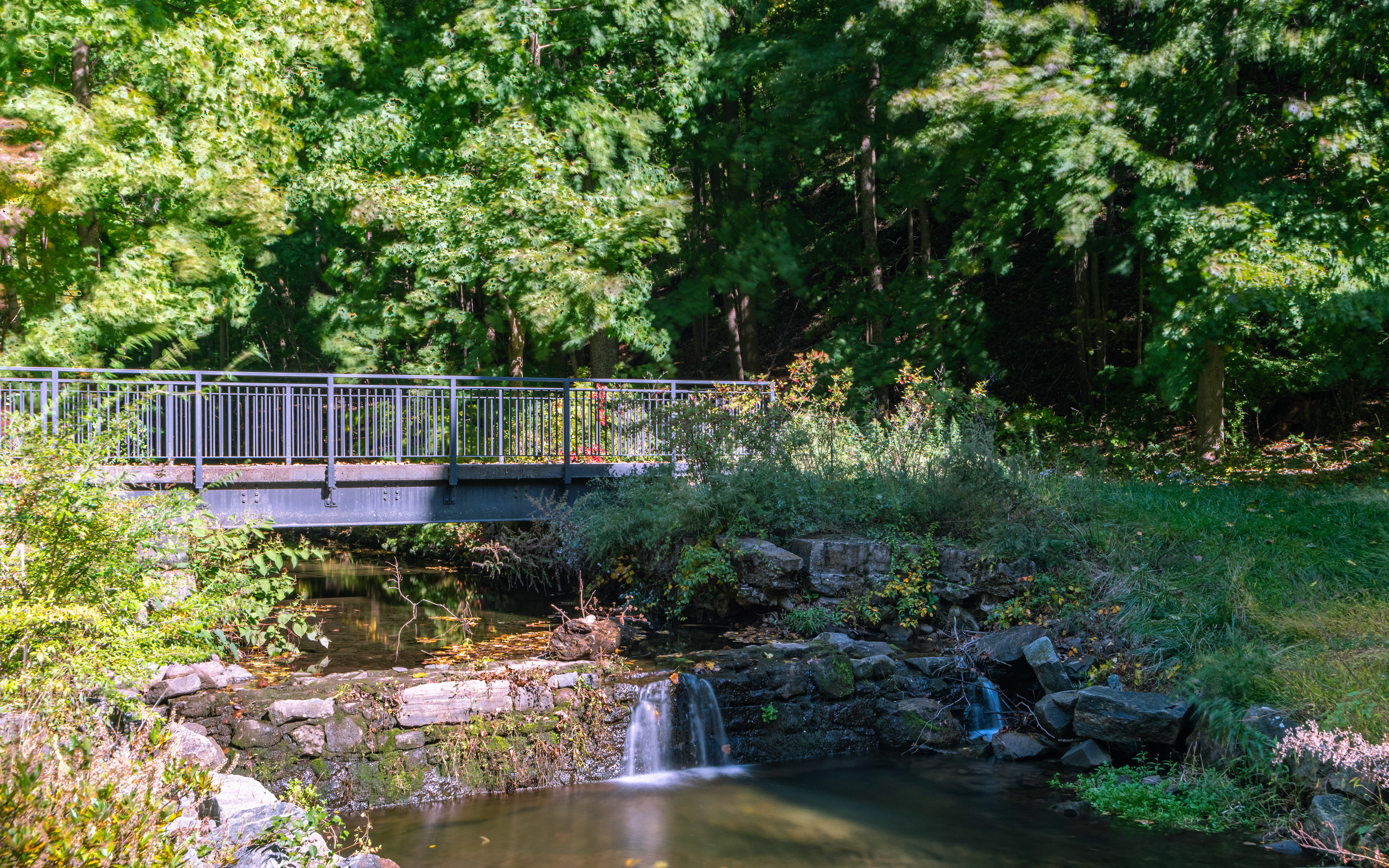 Foundry Preserve, Cold Spring NY