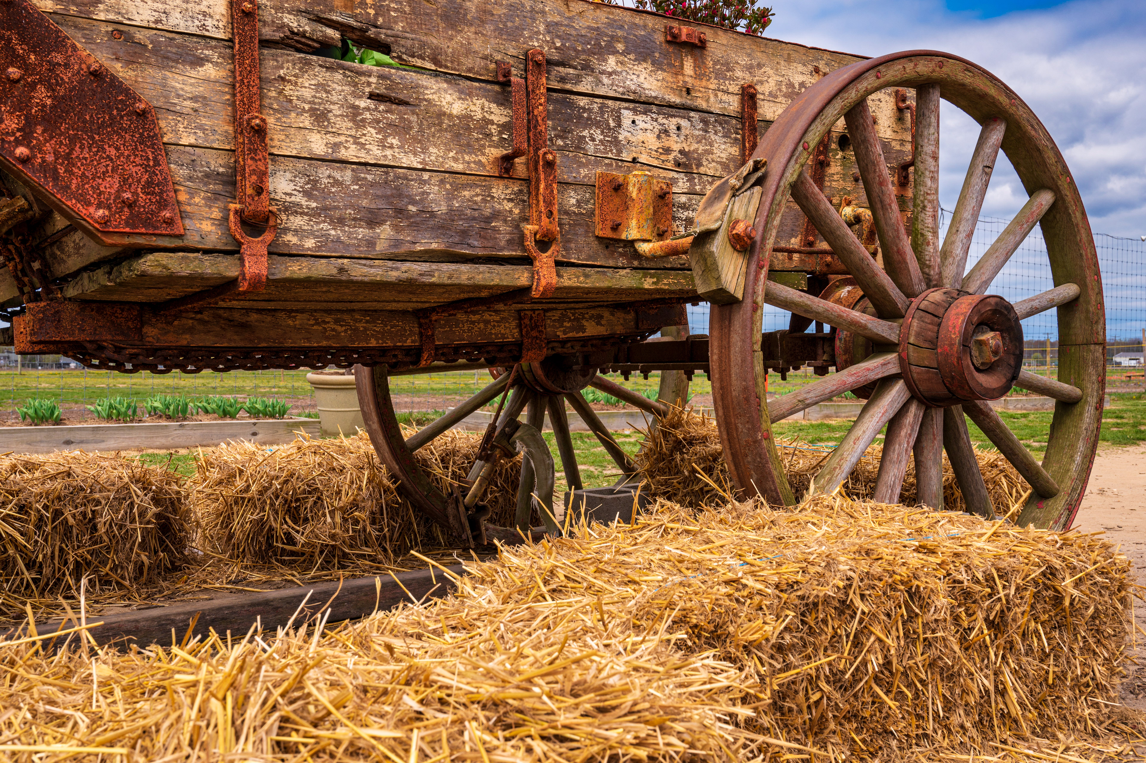Farm Wagon, Riverhead NY