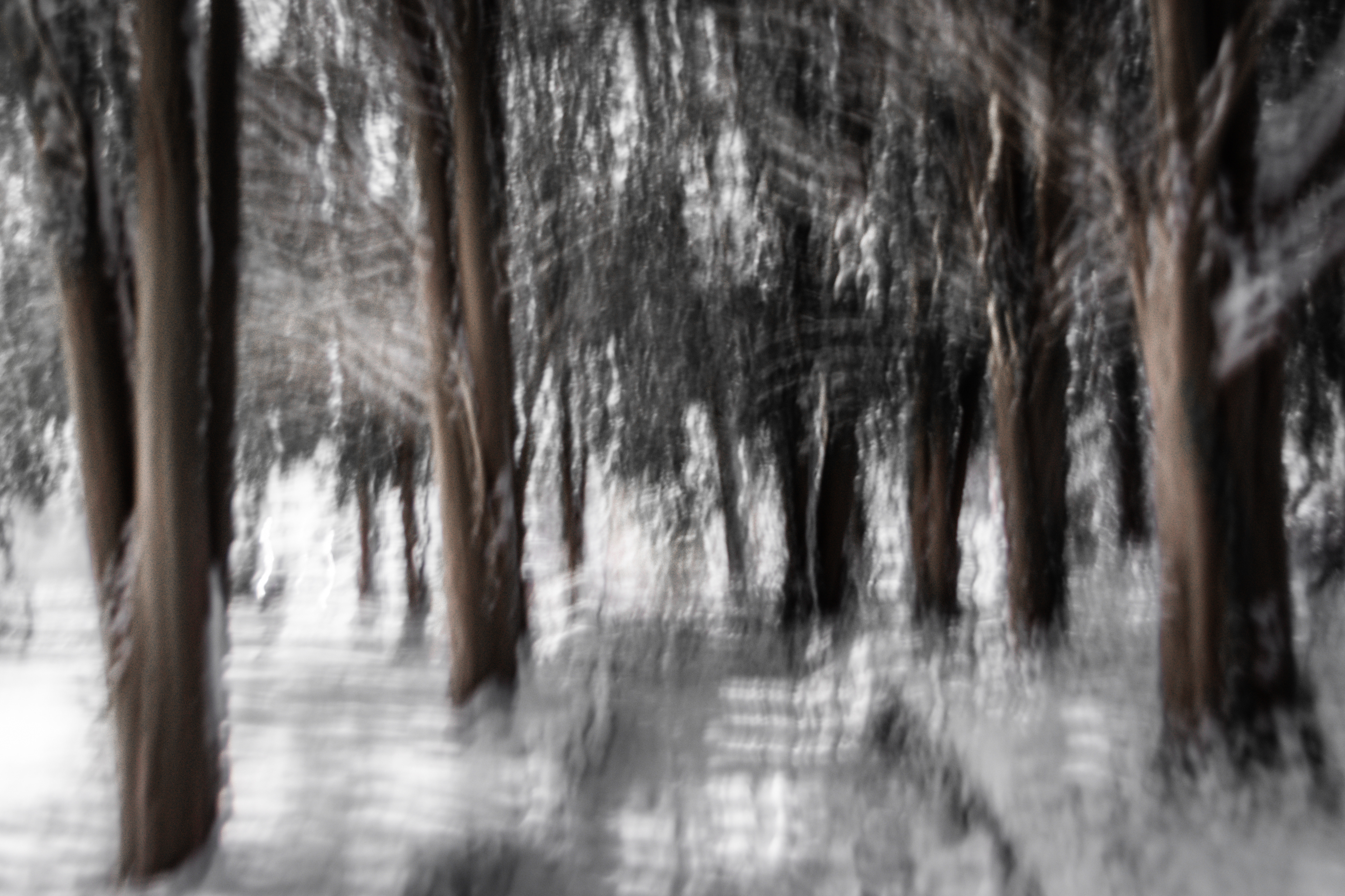 Frozen Dreamscape, St Anthony's Oceanside NY