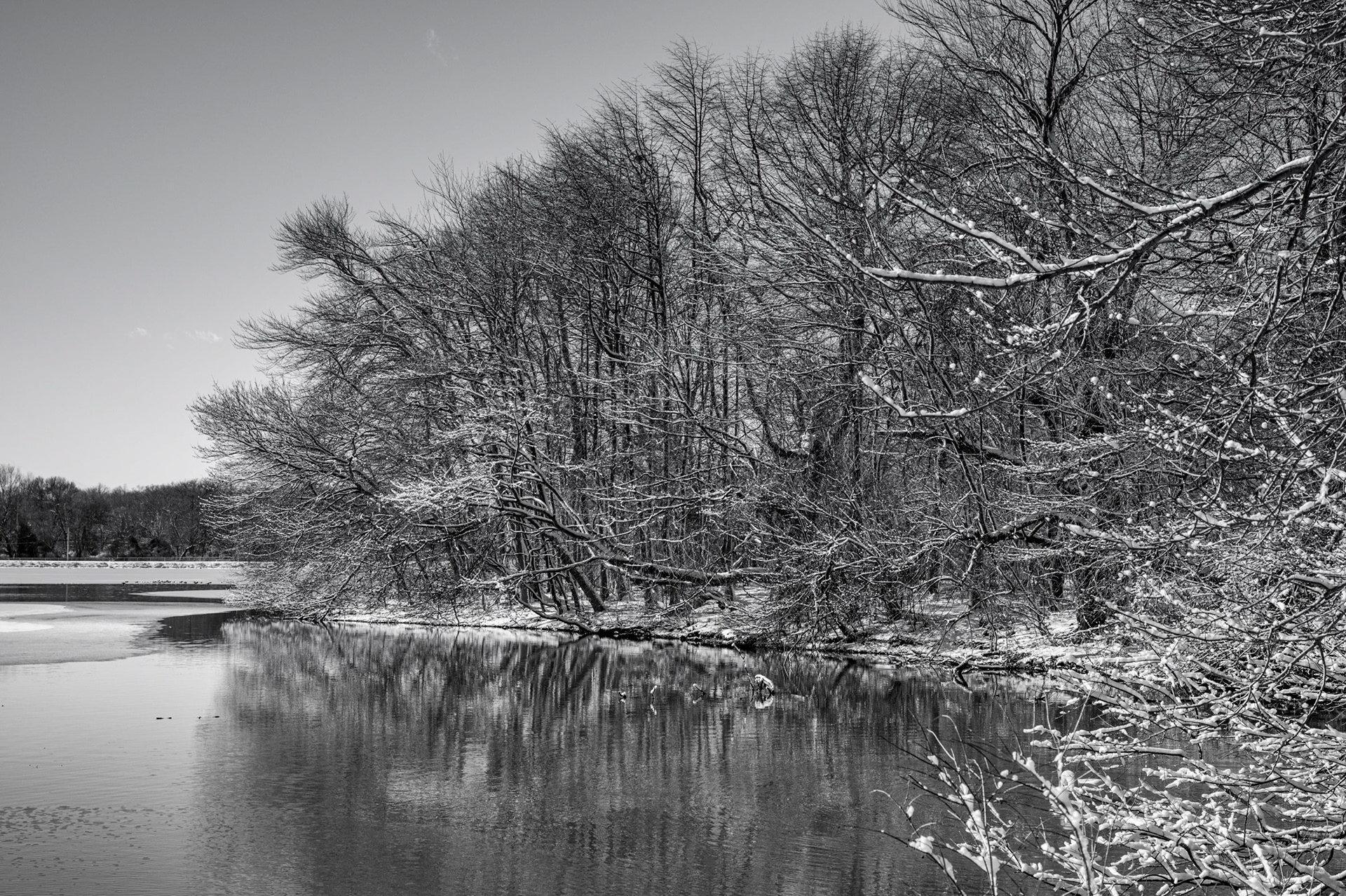 Revive Your Soul, Hempstead Lake State Park