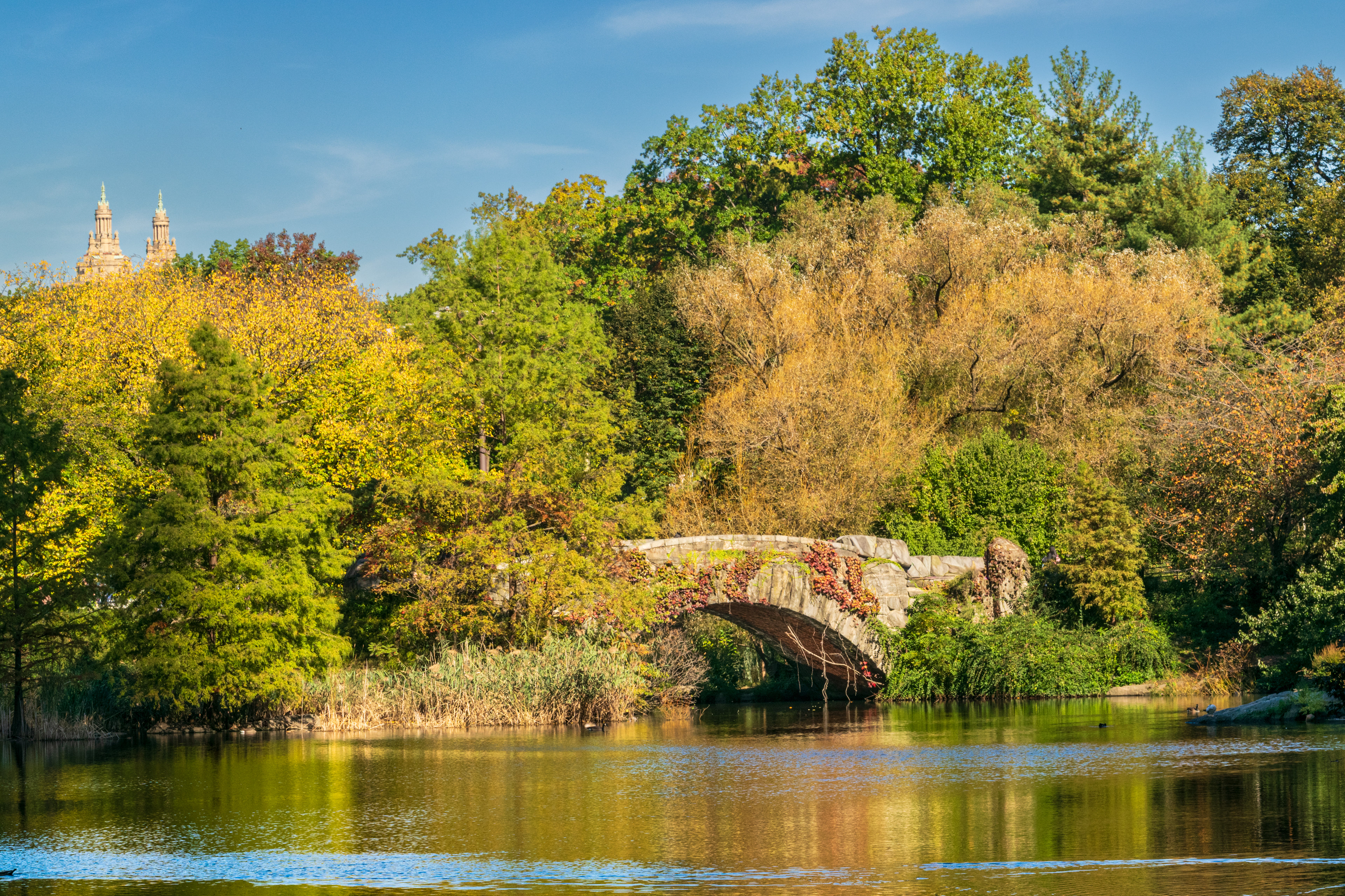 Gapstow Bridge, Central Park