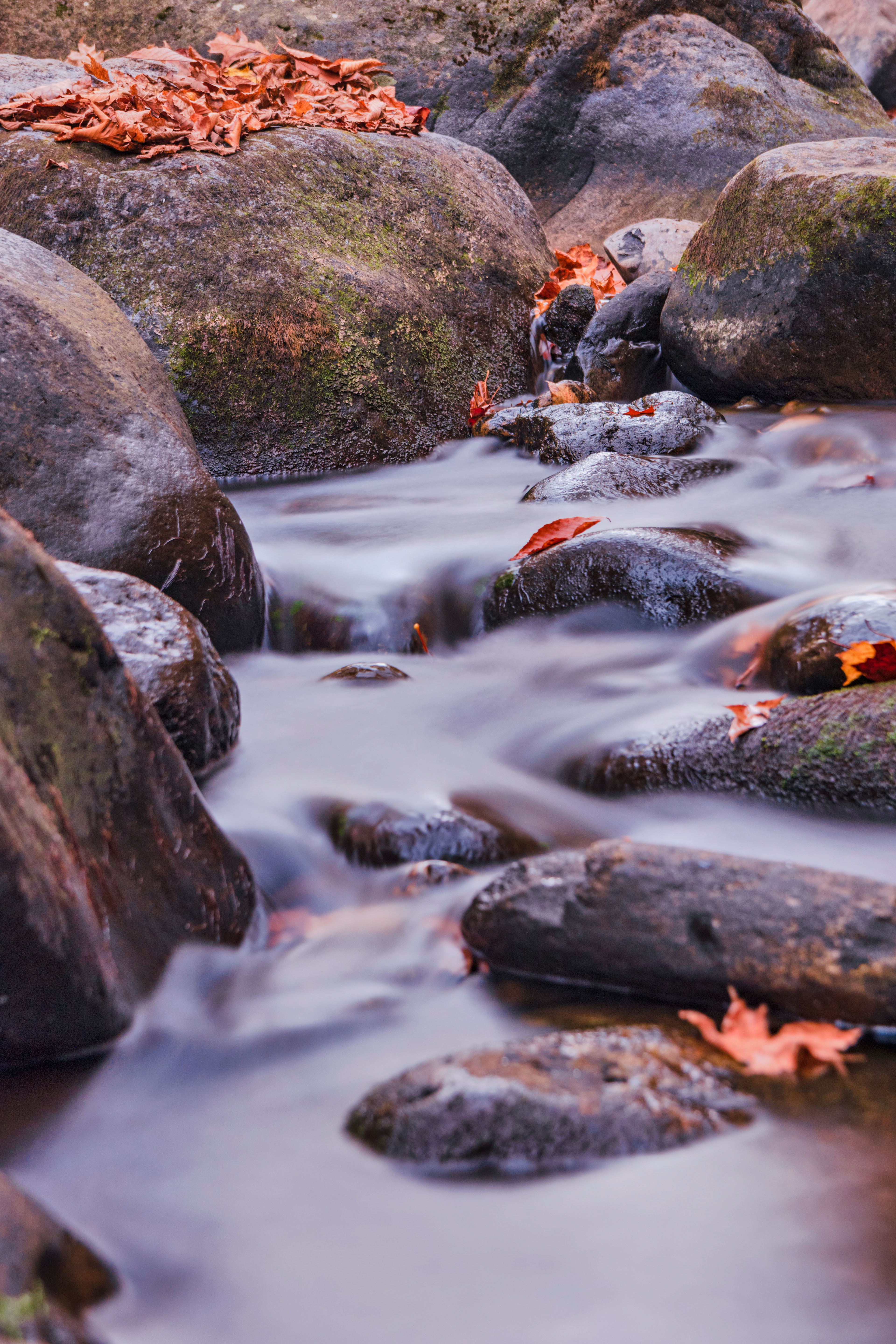 Quiet Waters, Harriman NY