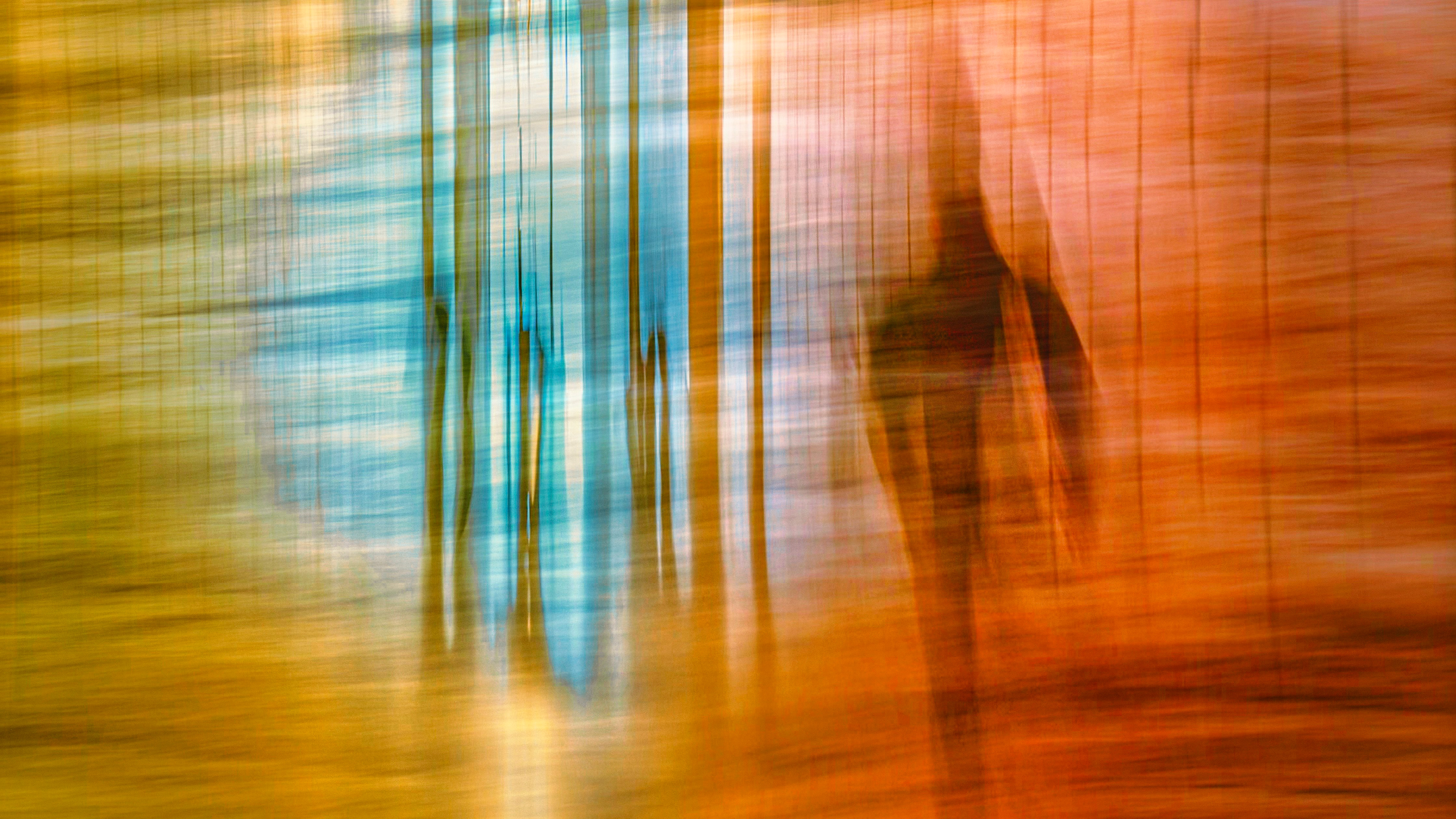 Toward the Light, NYC