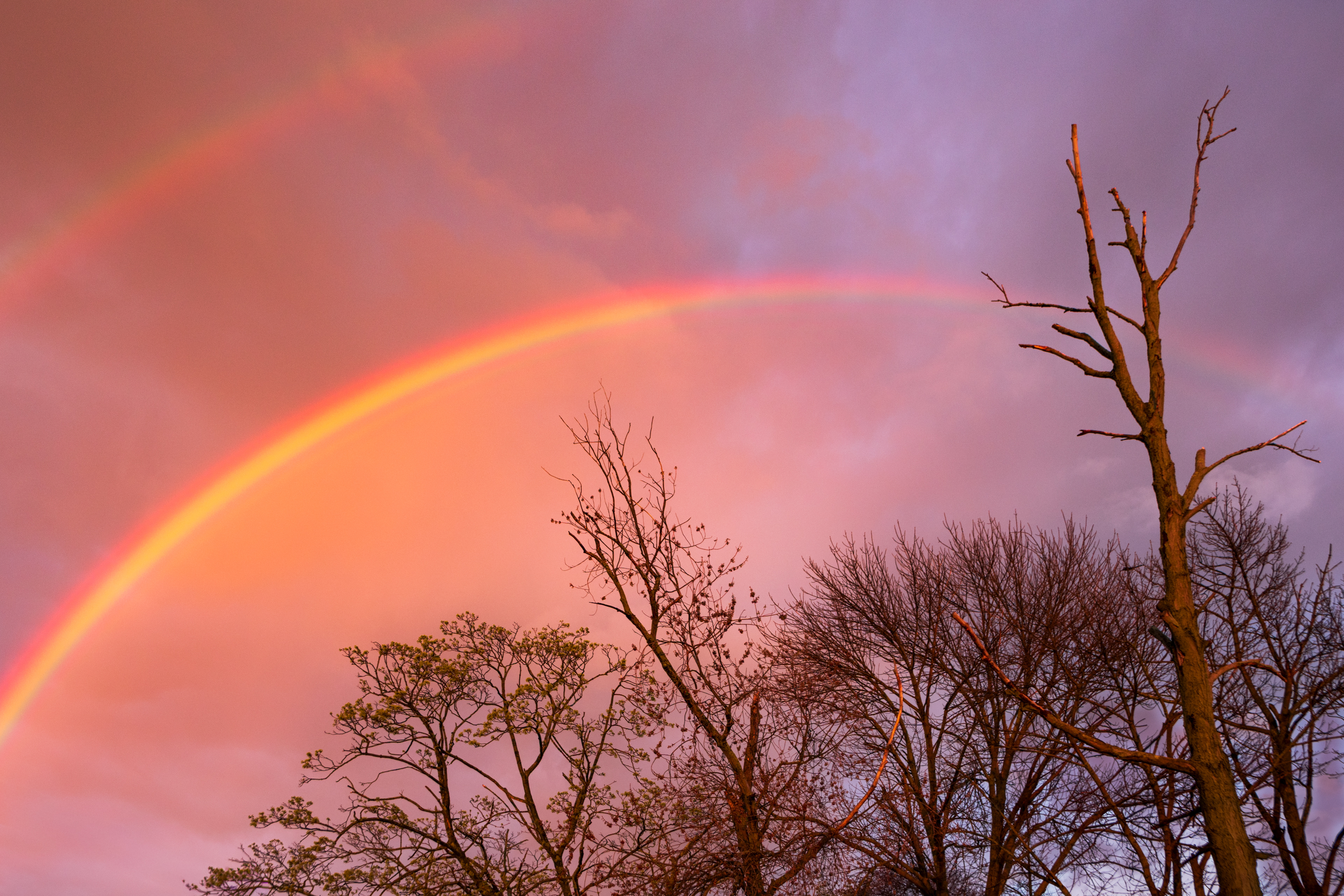 Spectrum of Light, Oceanside NY