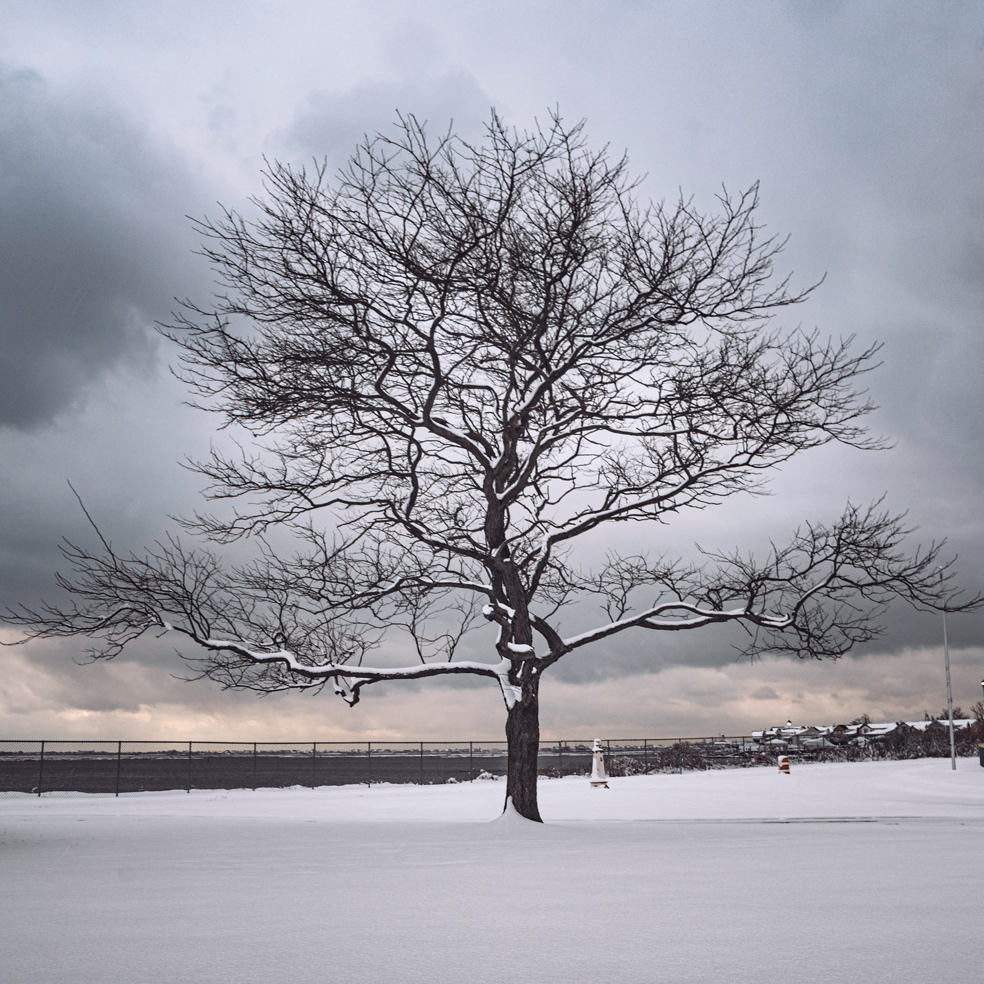 Balance and Harmony, Oceanside NY