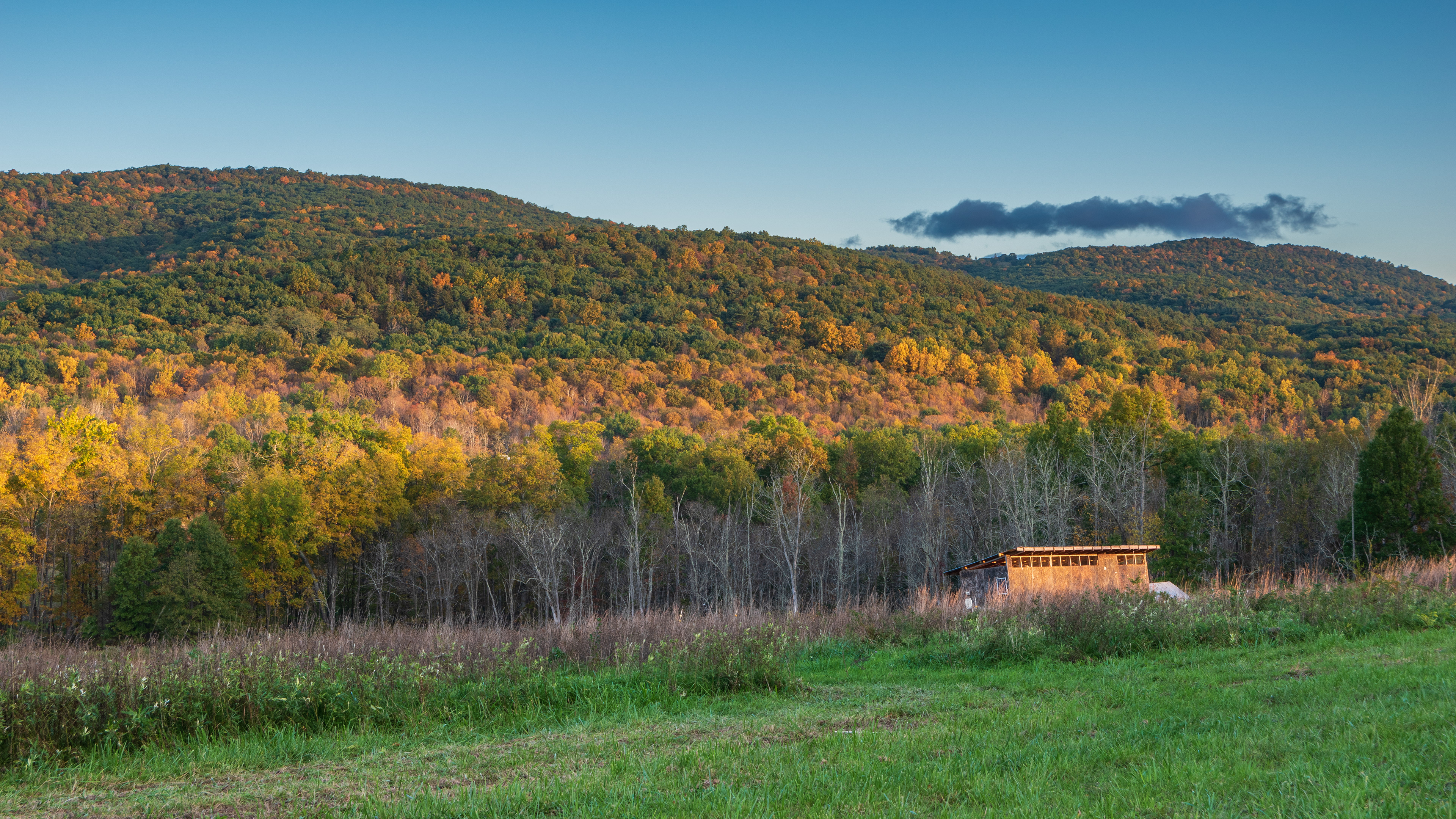 Diversity, Mohonk Preserve