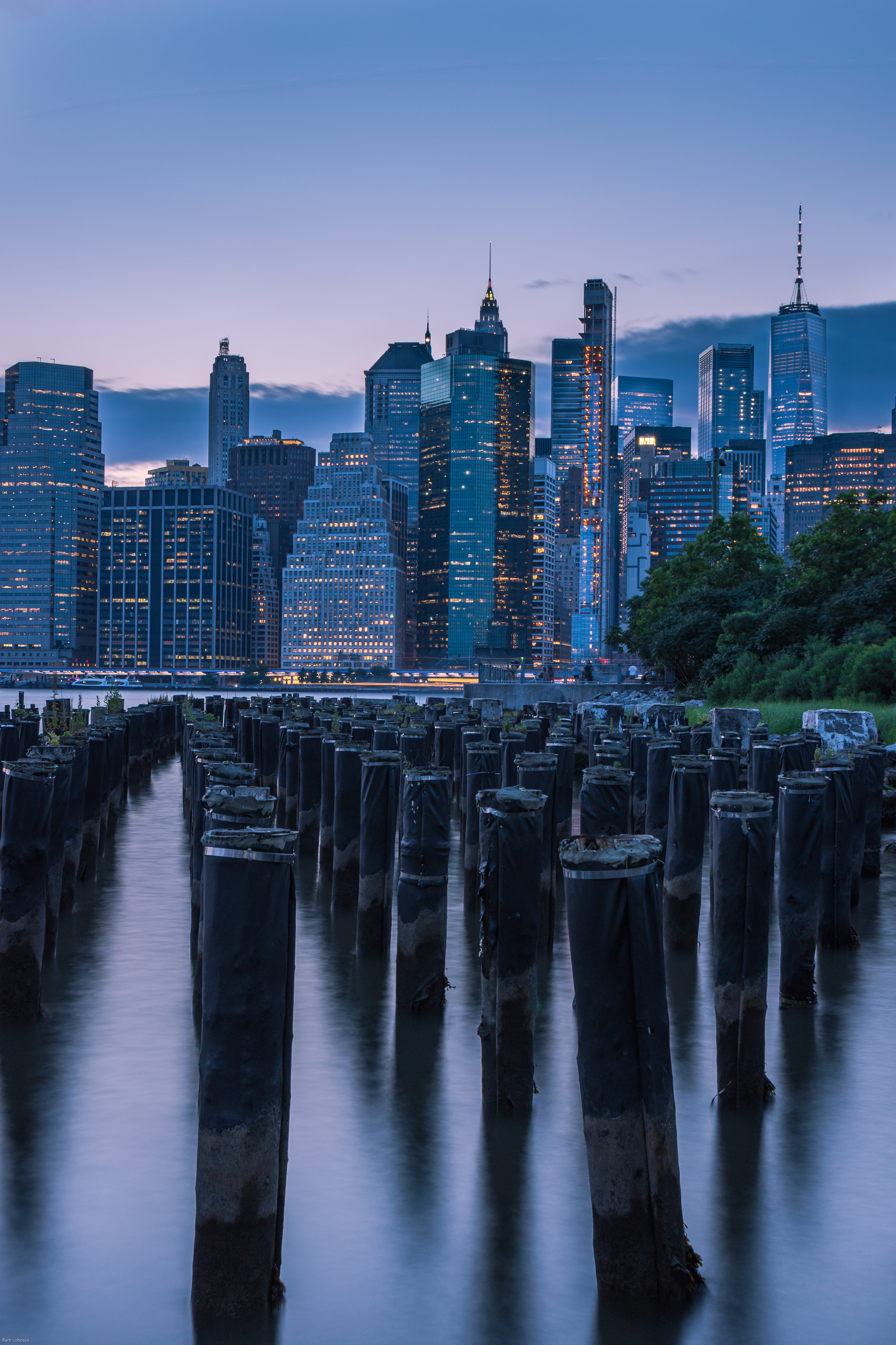 Shimmering Lights, DUMBO 