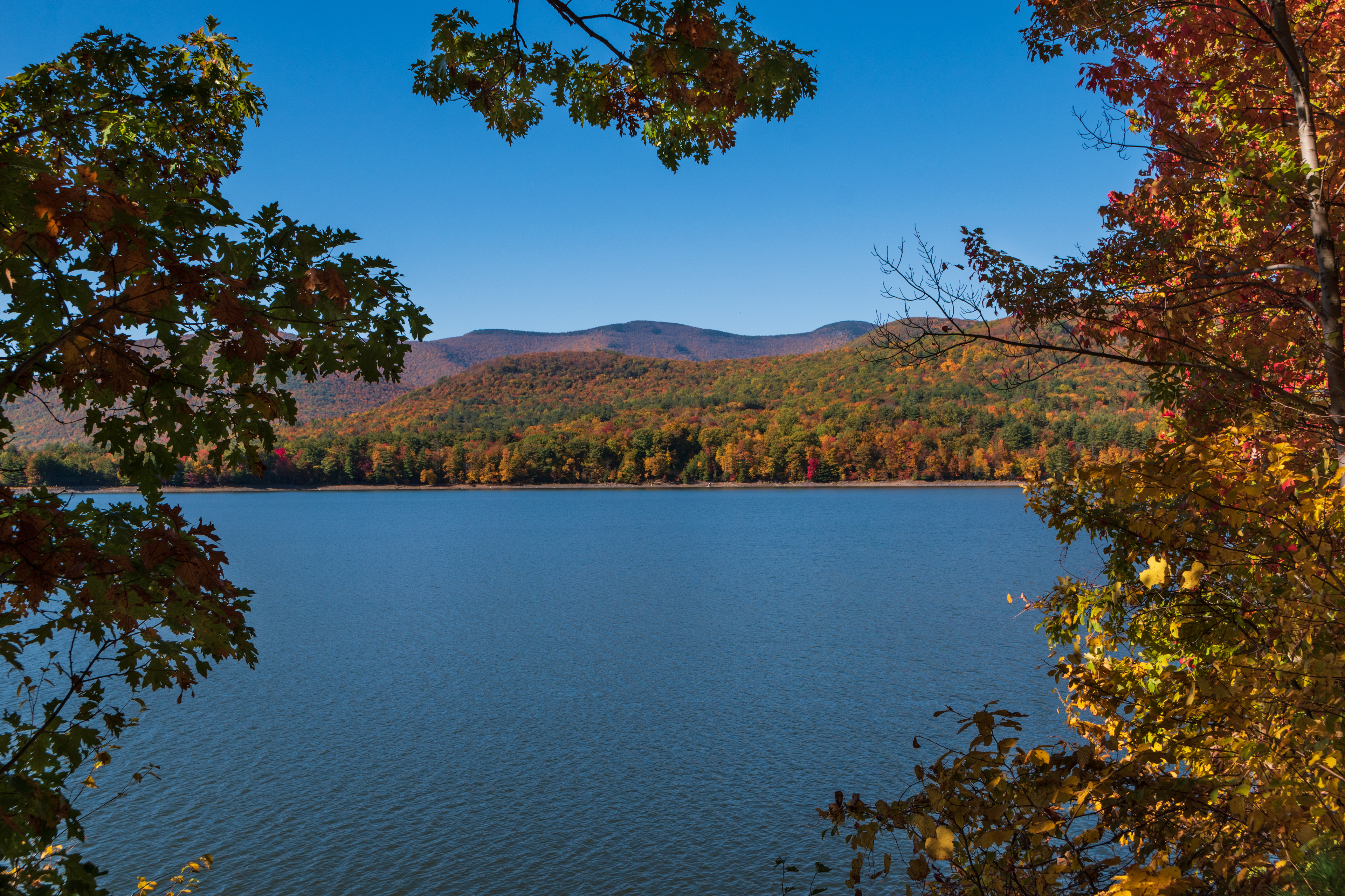 Naturally Framed, Ashokan Rail Trail NY