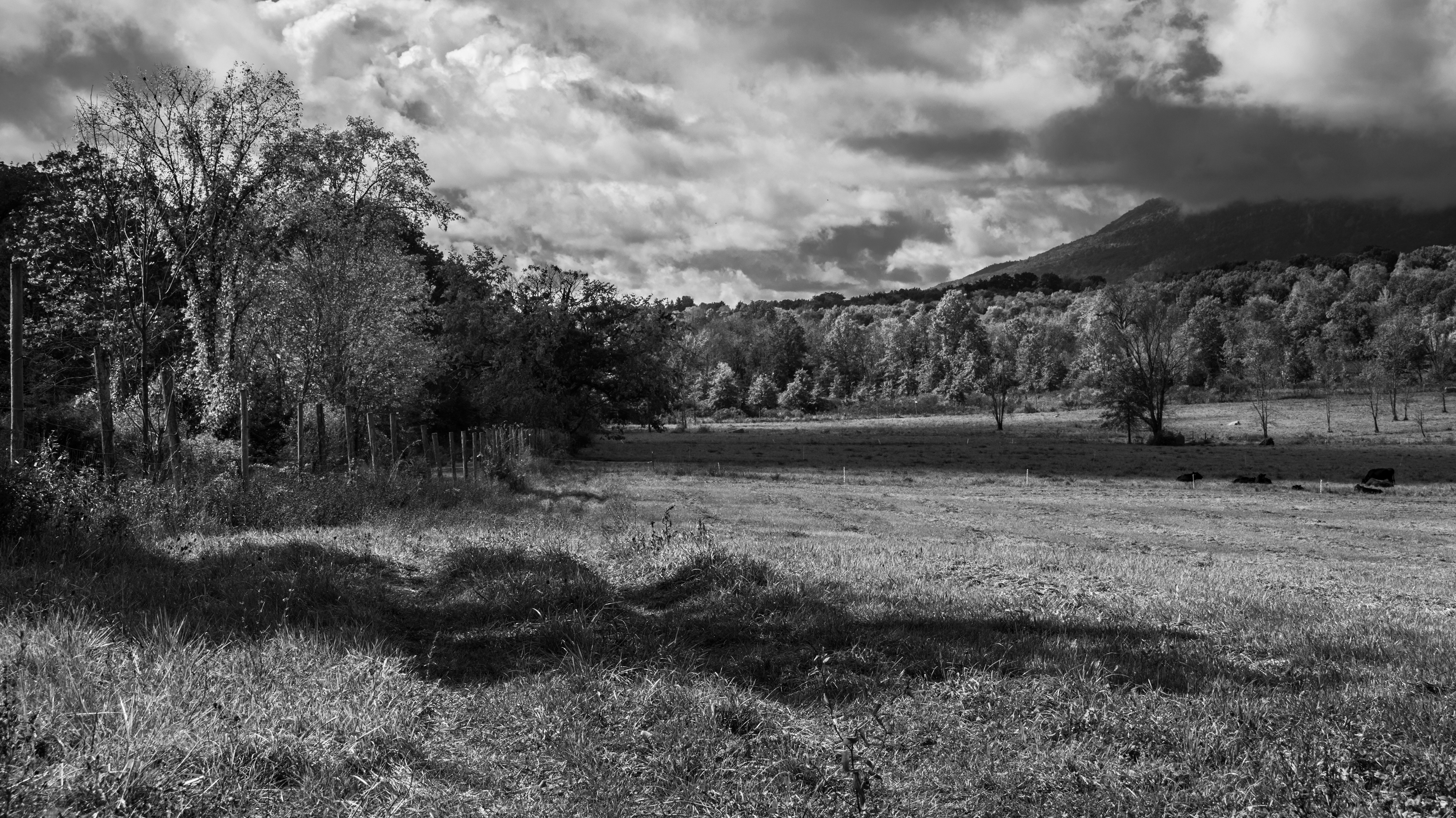 Childhood Memories, New Paltz NY