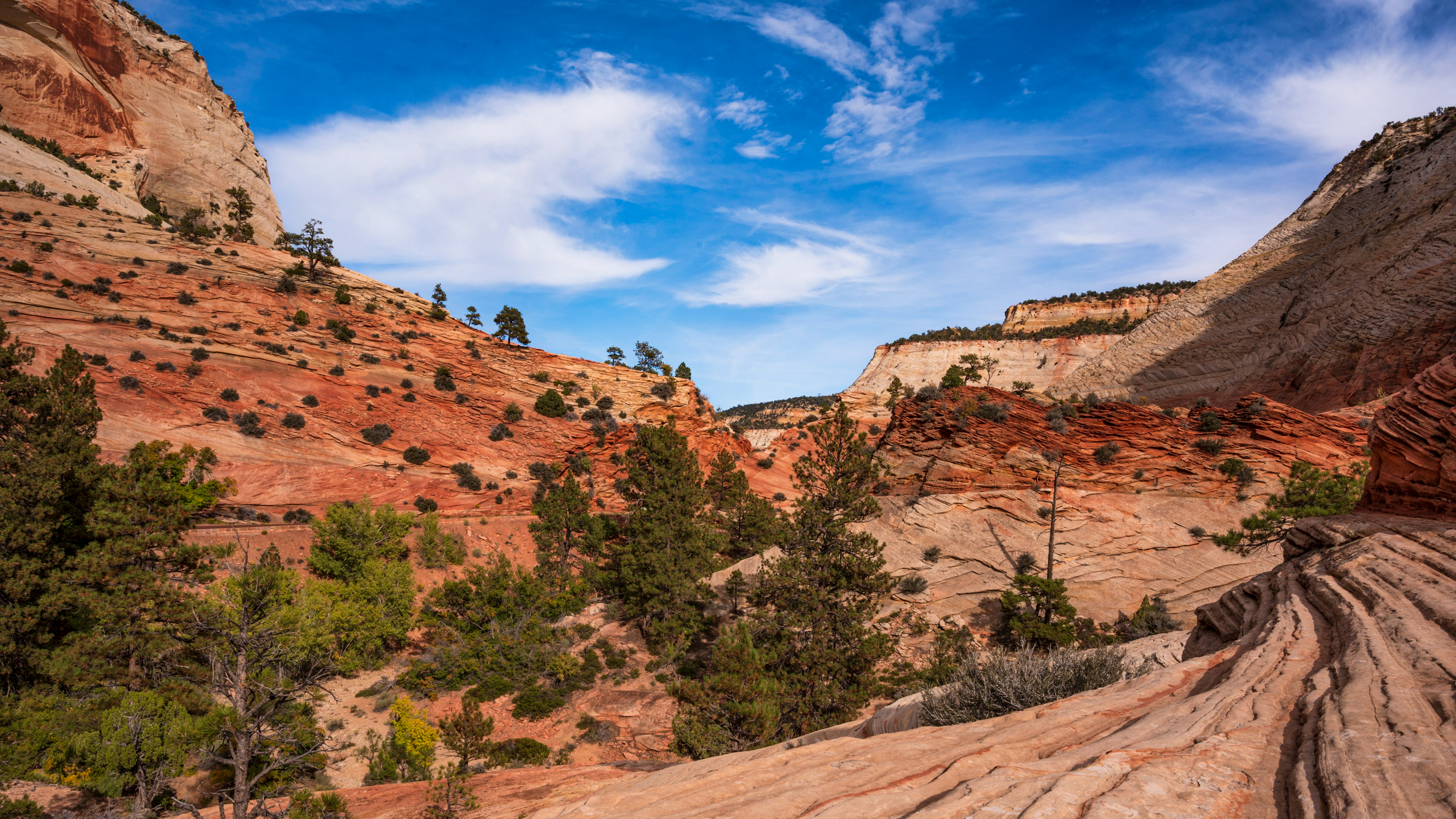 Feeling Grateful, Zion National Park