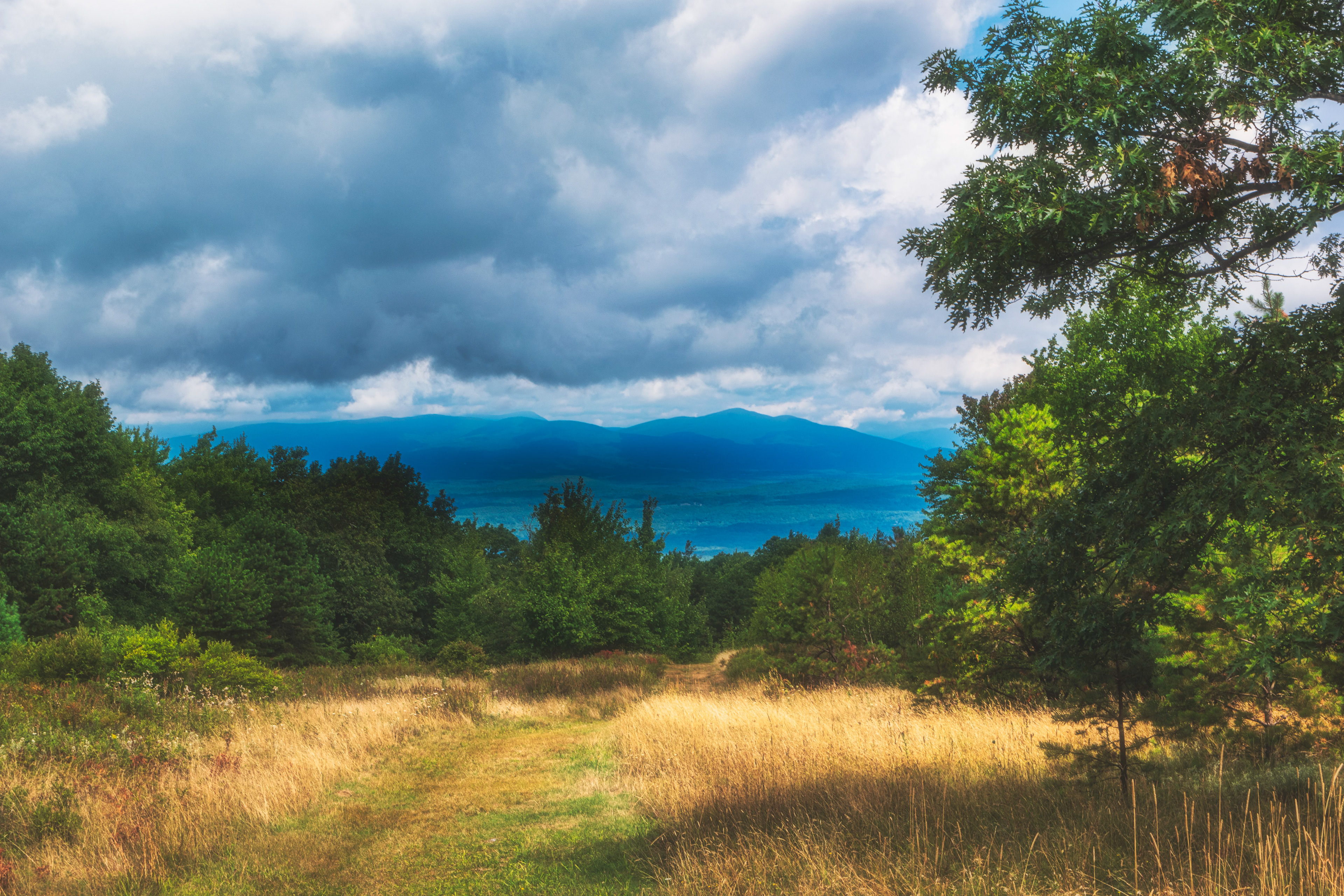 Field of Dreams, Catskill NY