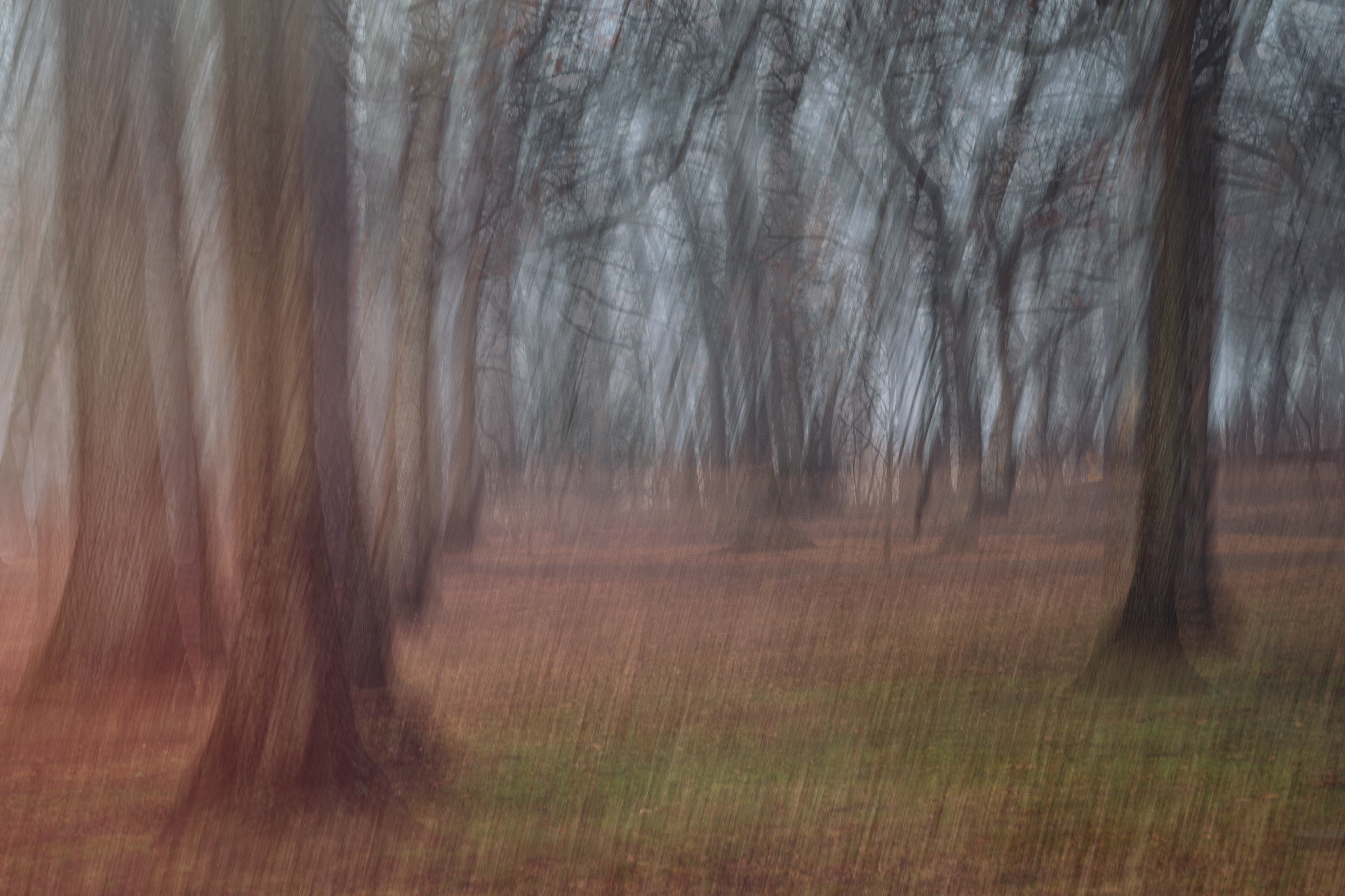 Between Form and Fog, Hempstead Park