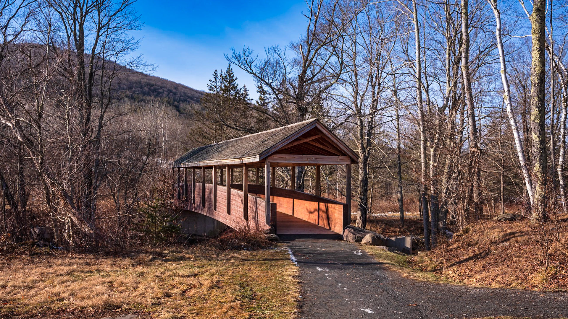 Wyndham Foot Bridge, Wyndham NY