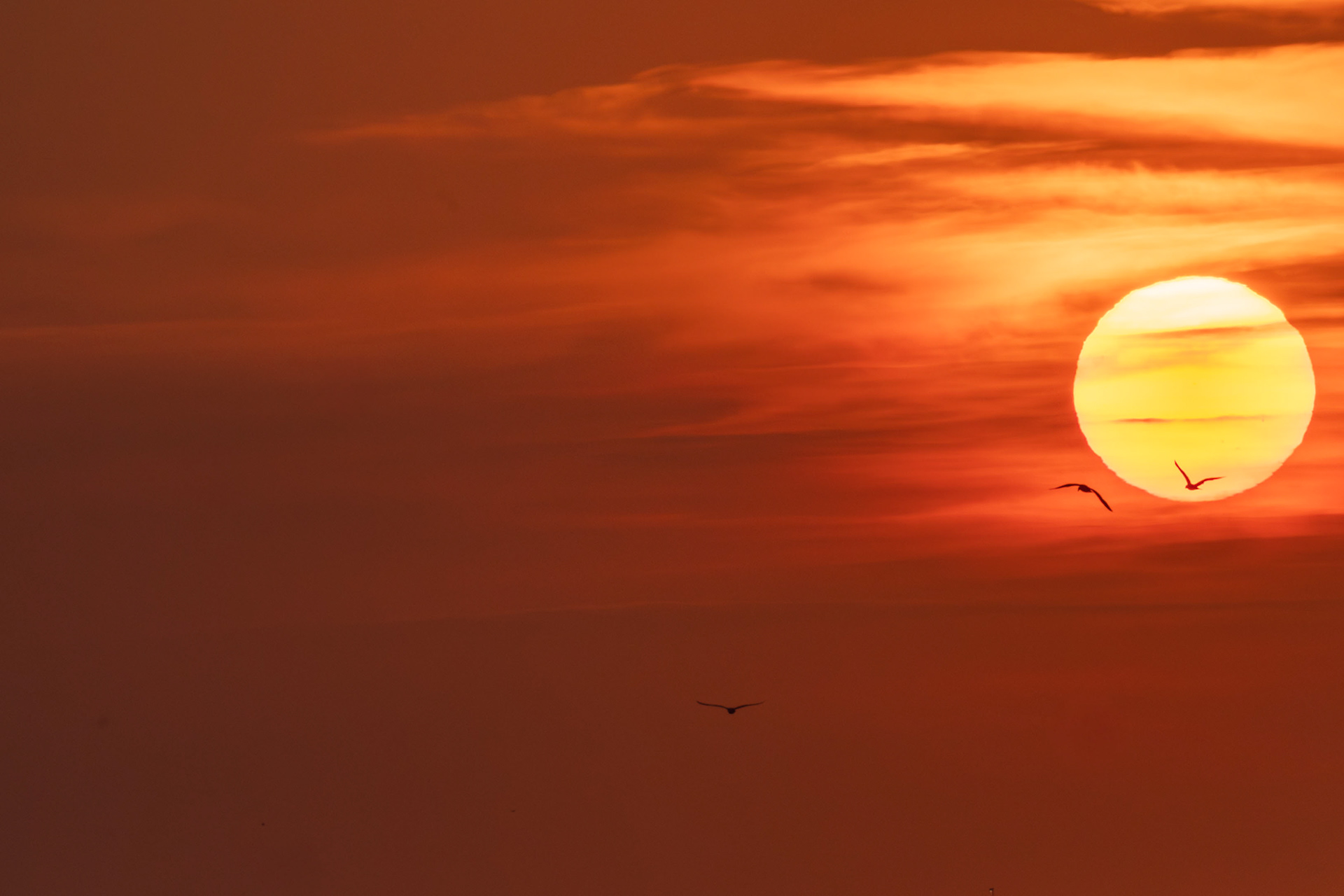 Long Island Henge, Long Island 