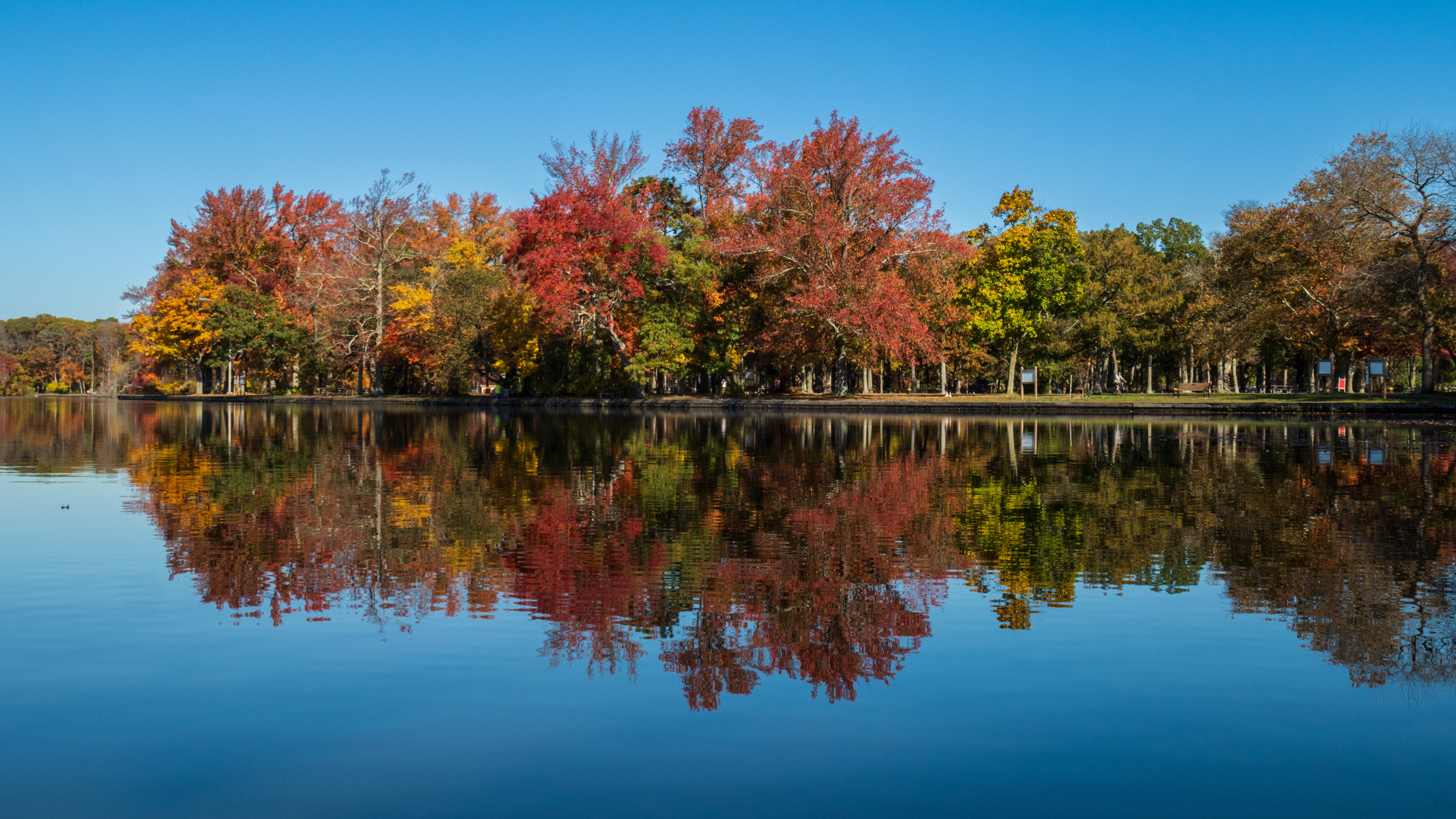 Pure Innocence, Belmont Lake State Park