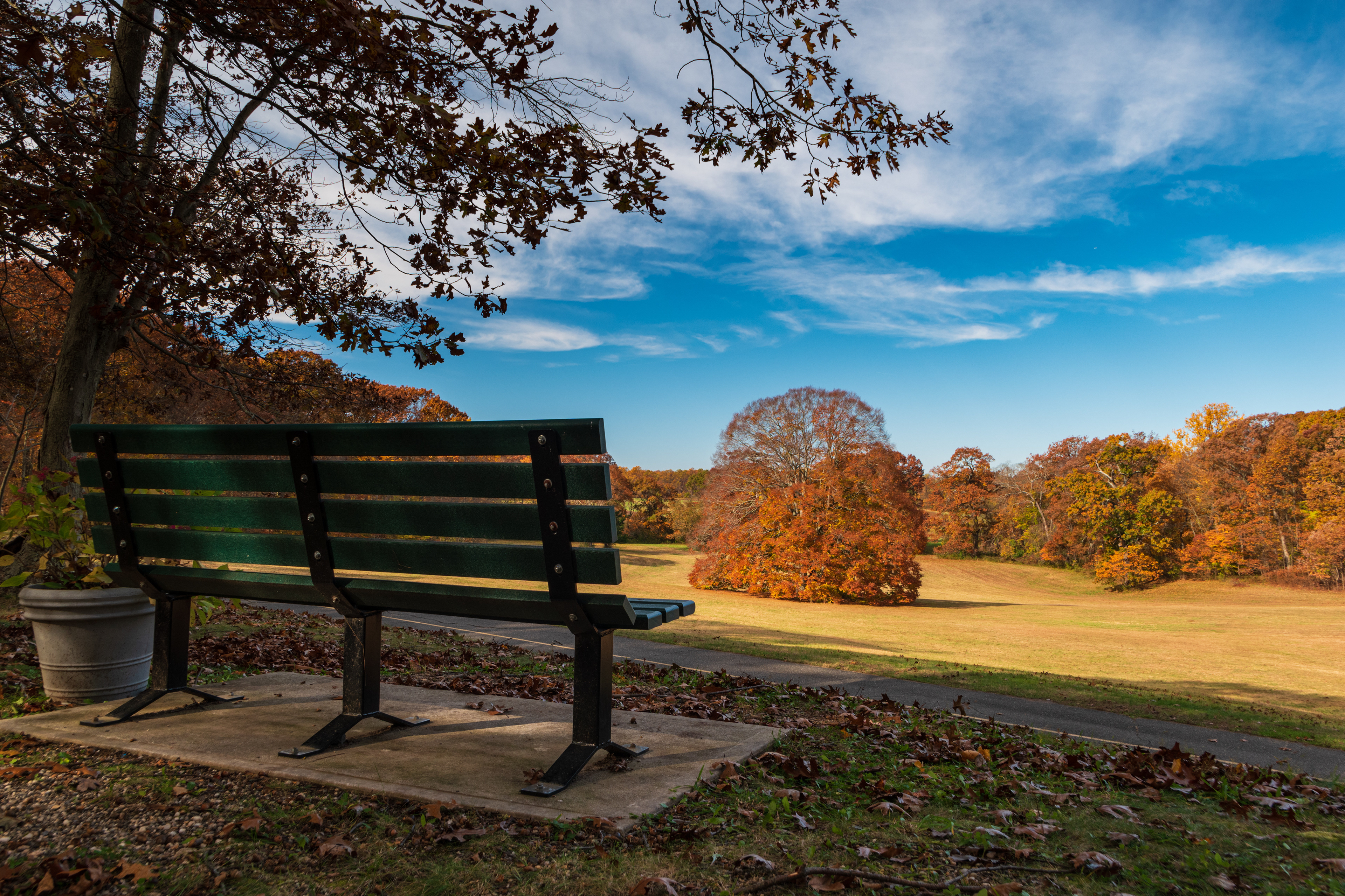 Transitioning, Caumsett State Park