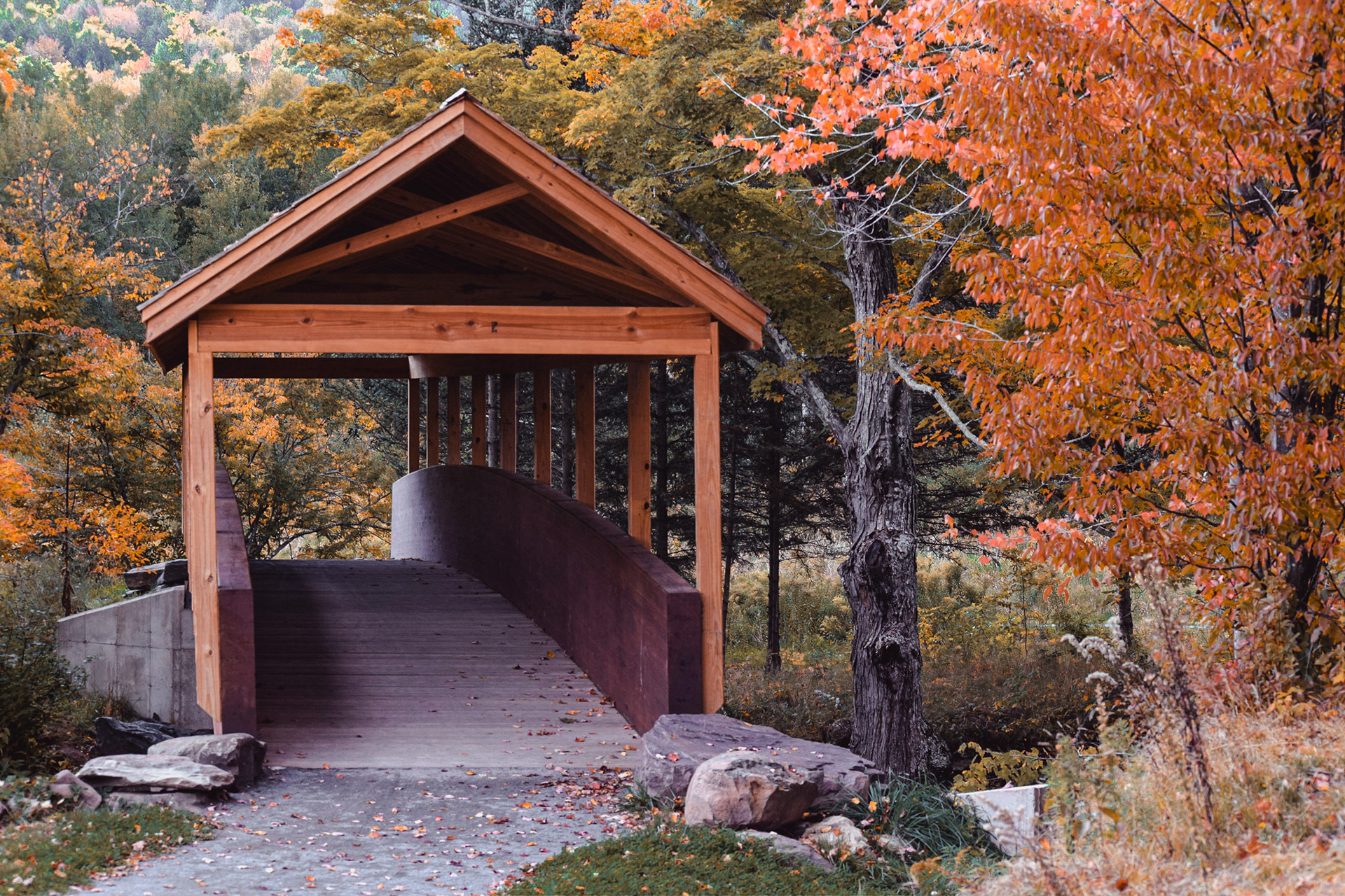 Windham Footbridge, Windham
