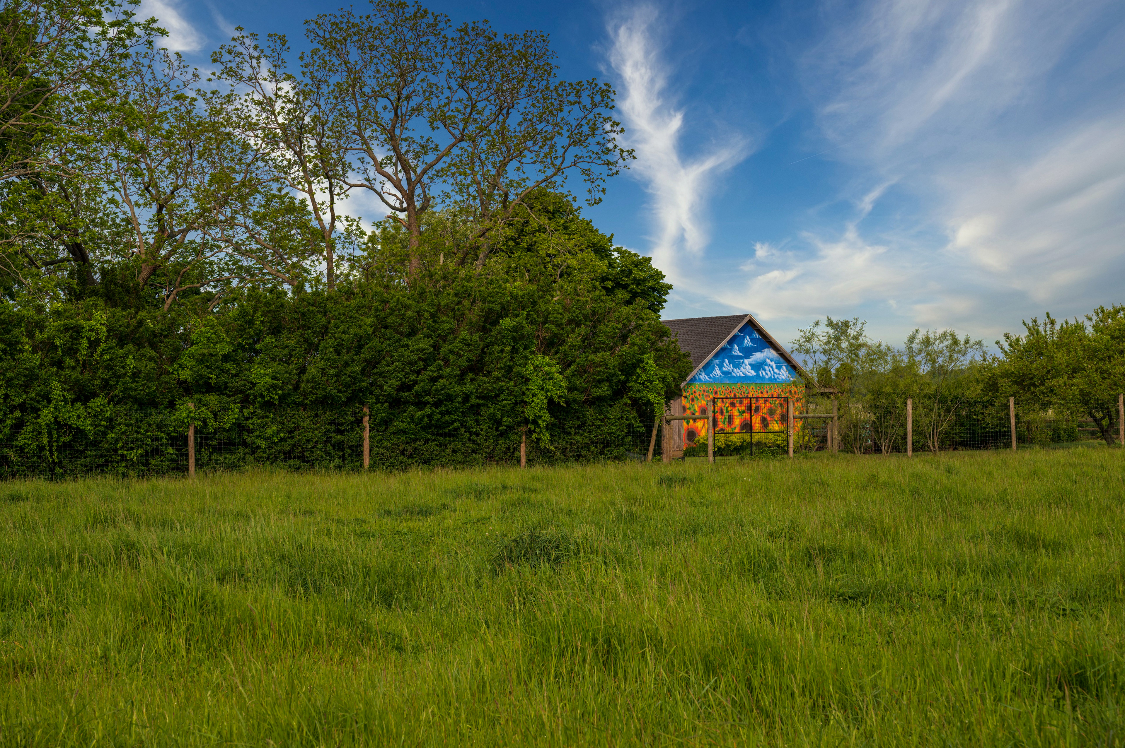 Sunflower Barn, Riverhead NY