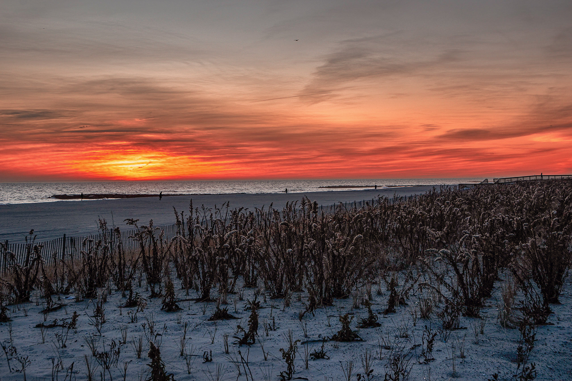 Eternal Orange, Long Beach NY