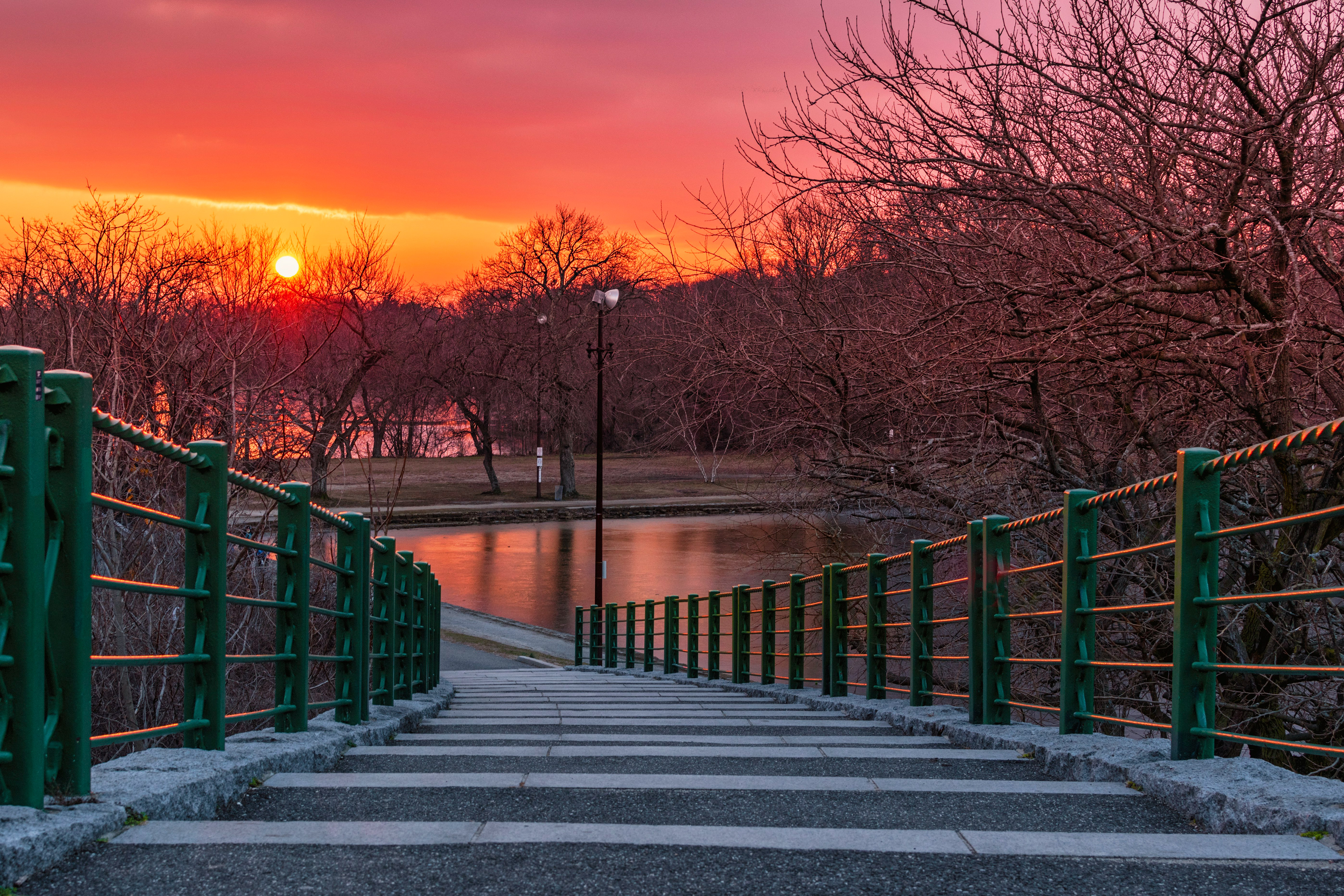 Searching for Peace, Rockville Center NY