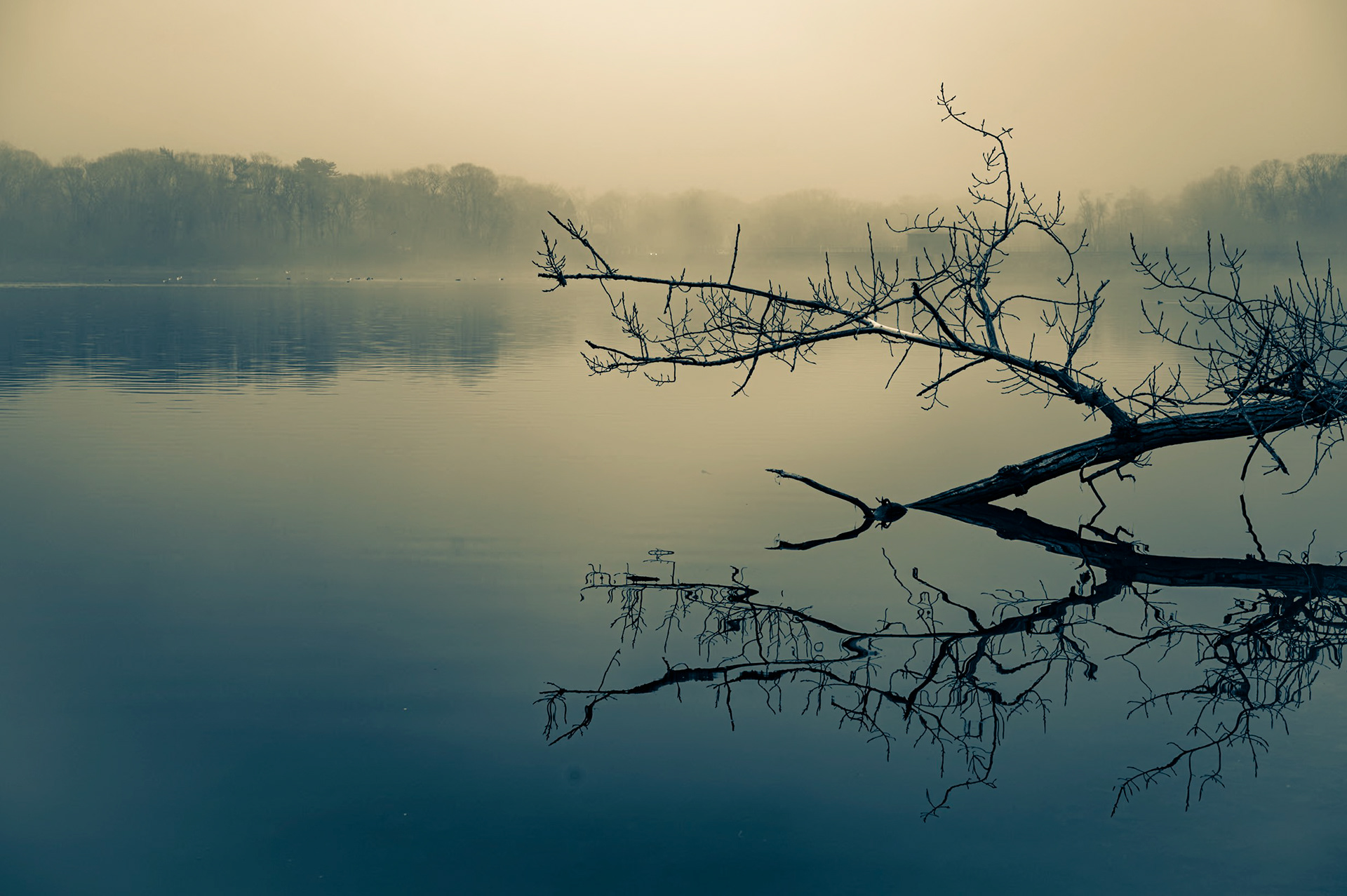 Creative Way to Hope, Hempstead Lake
