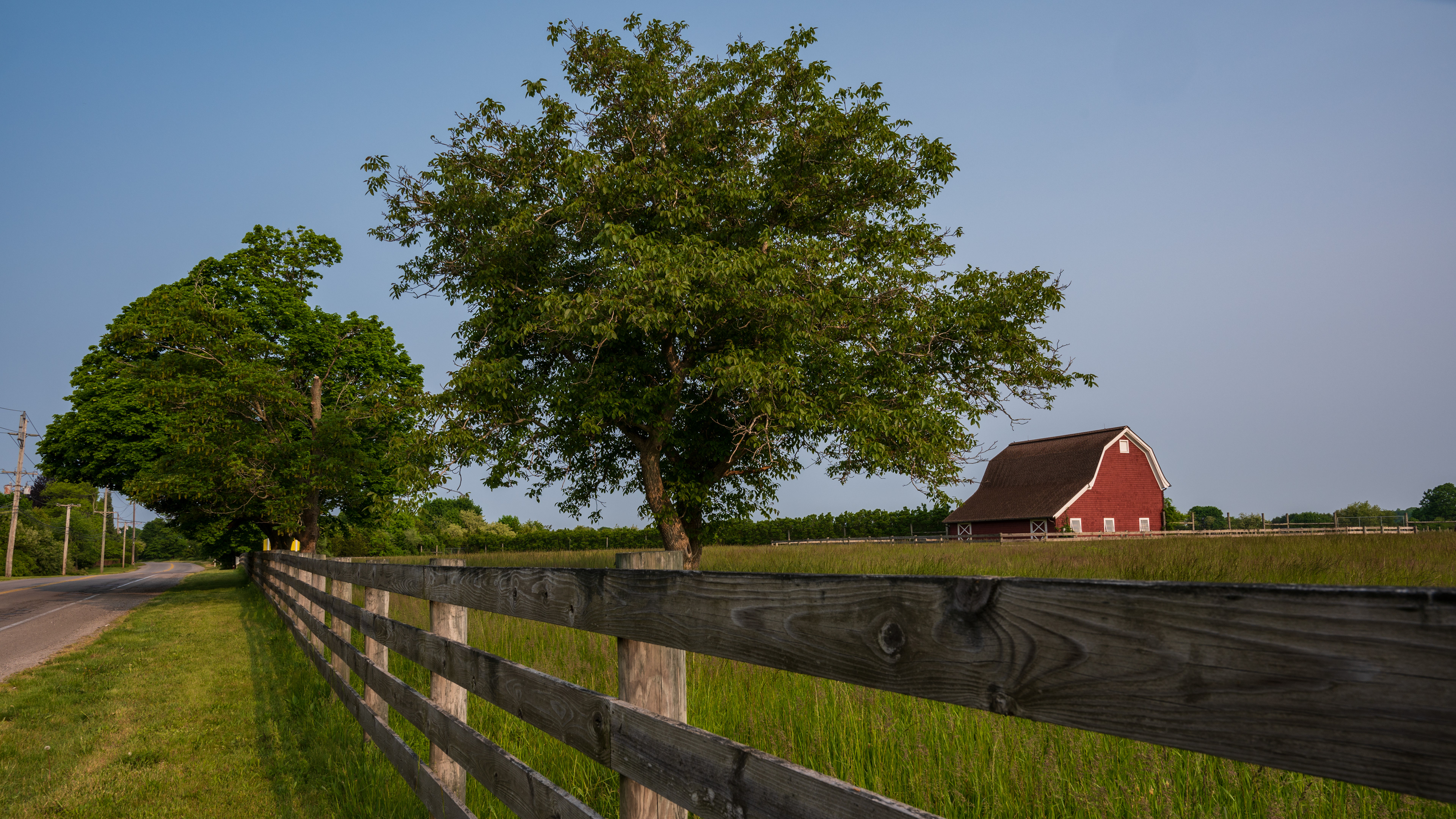 Macari Vinyards, Cutchogue NY