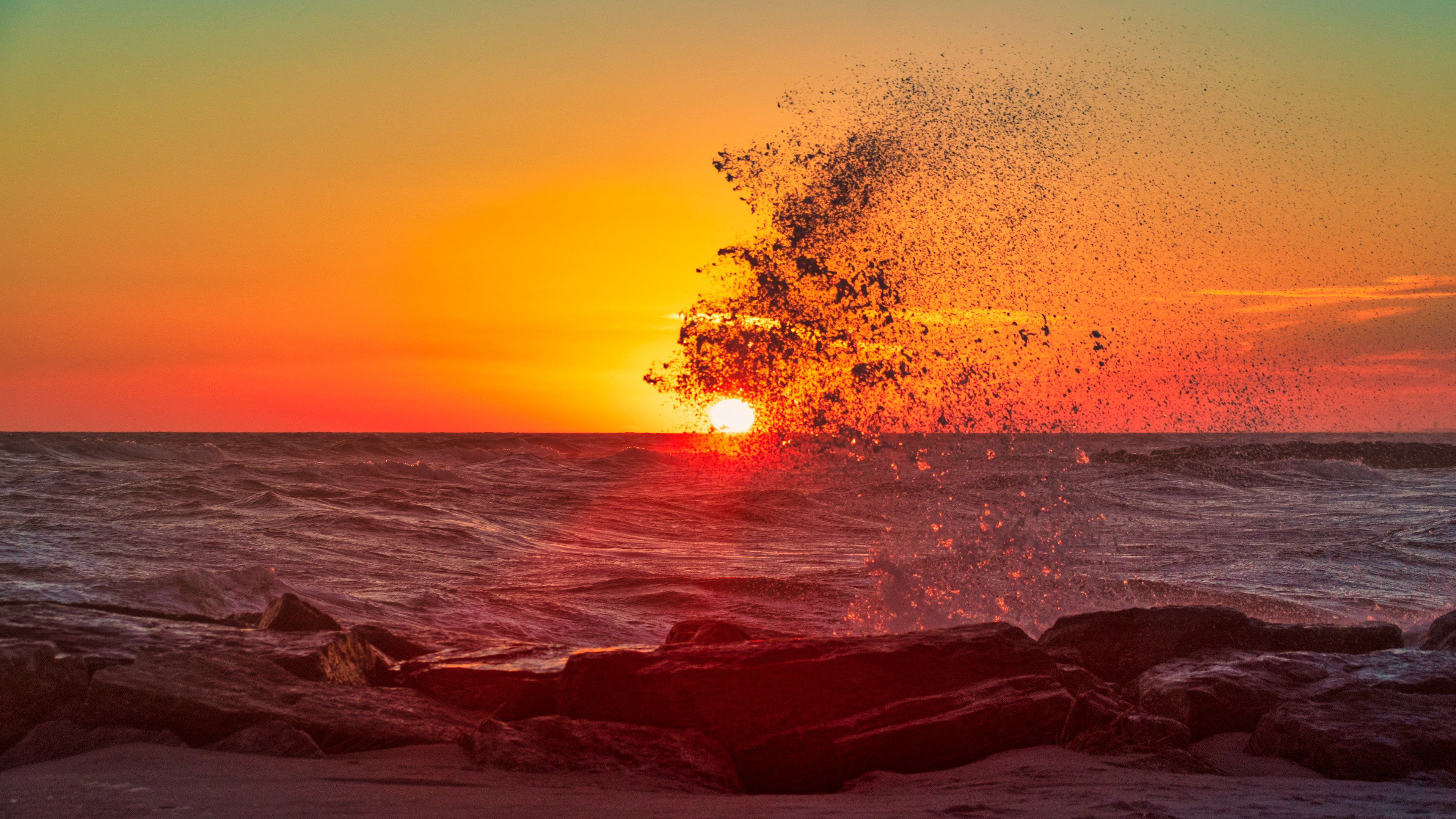 Crash & Splash, Long Beach 