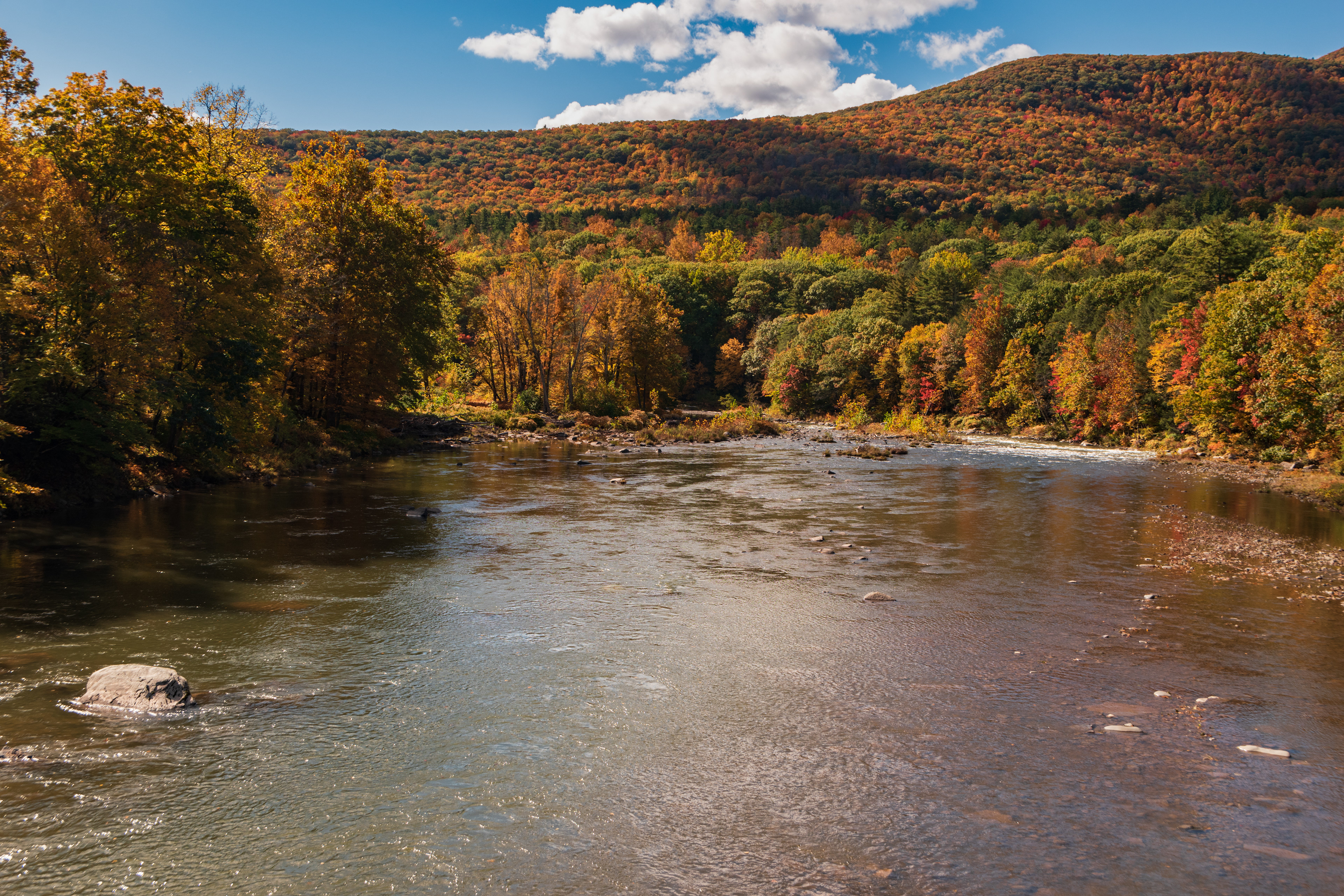 Catskill Mountains, Kingston NY