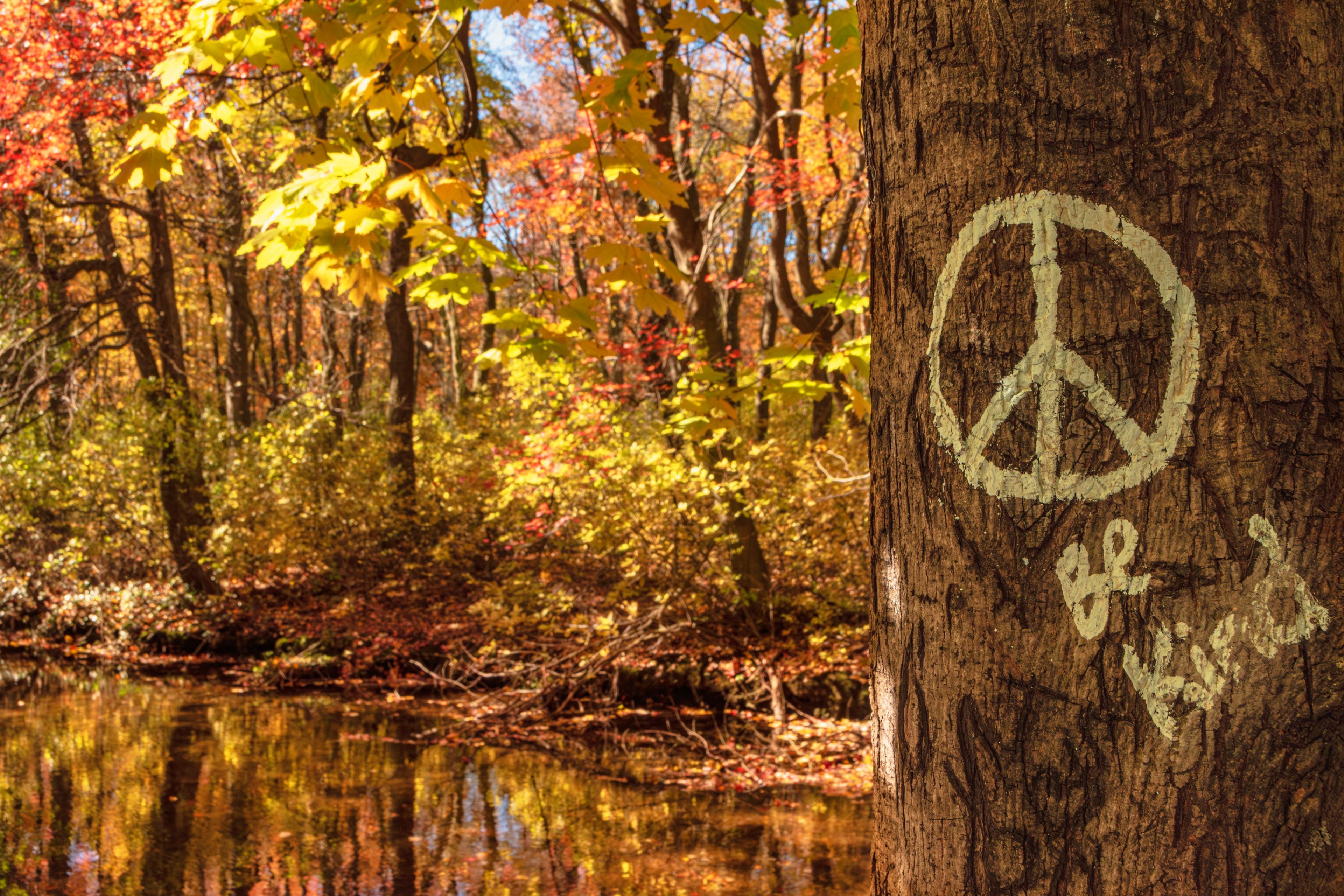 Be Kind, Massapequa Preserve