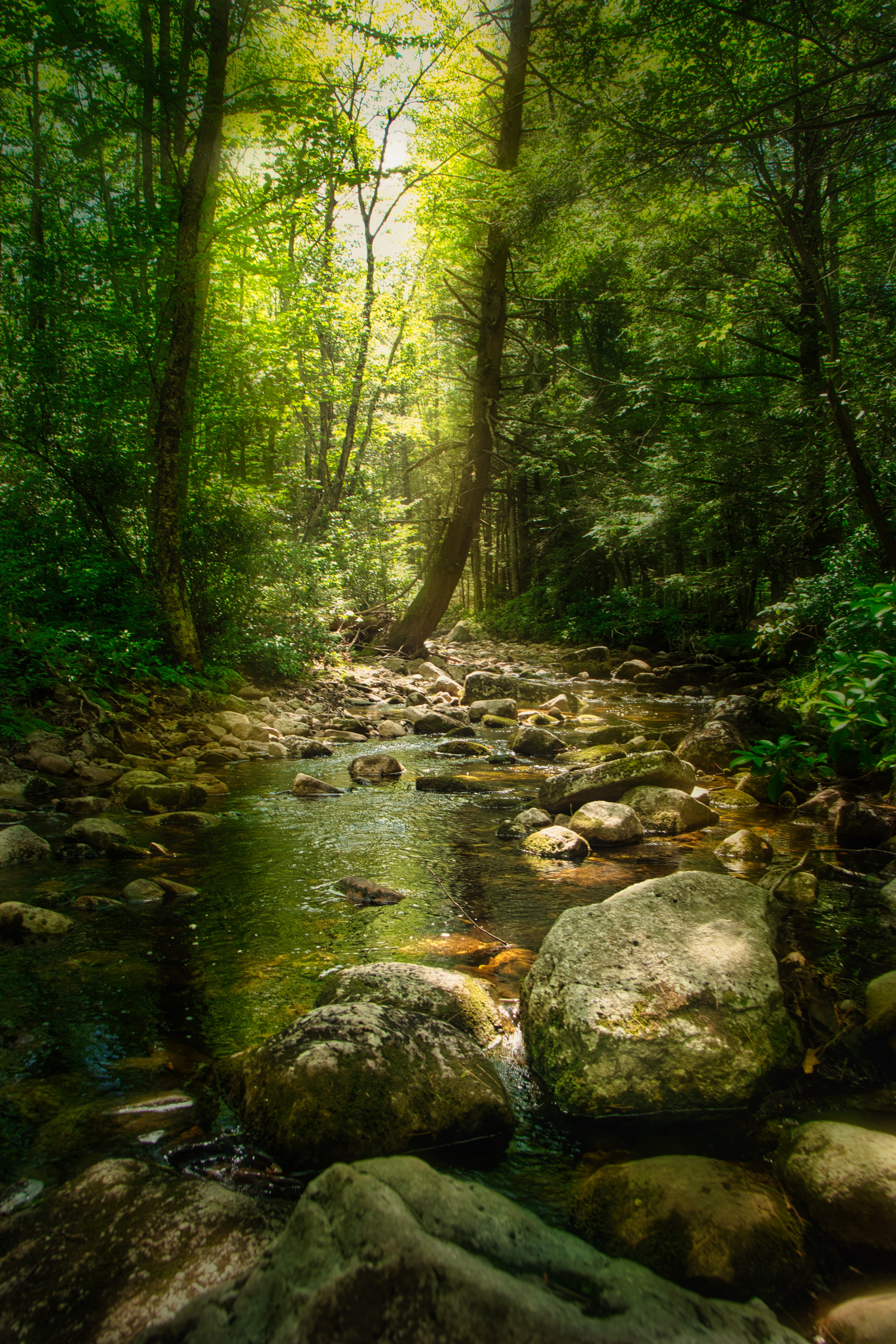 Mystic Creek, Minnewaska State Park